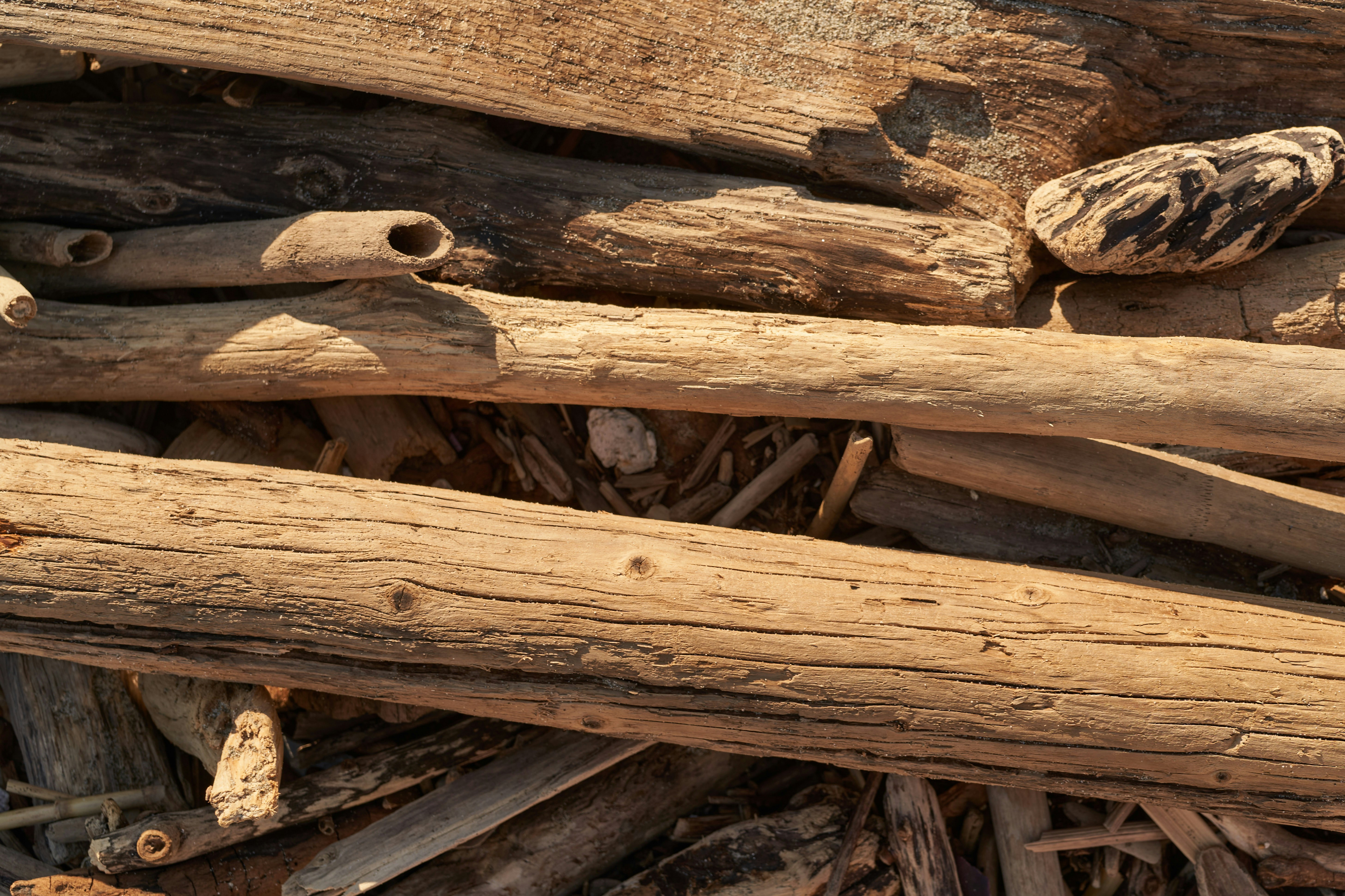 Photo by wolfgang_hasselmann