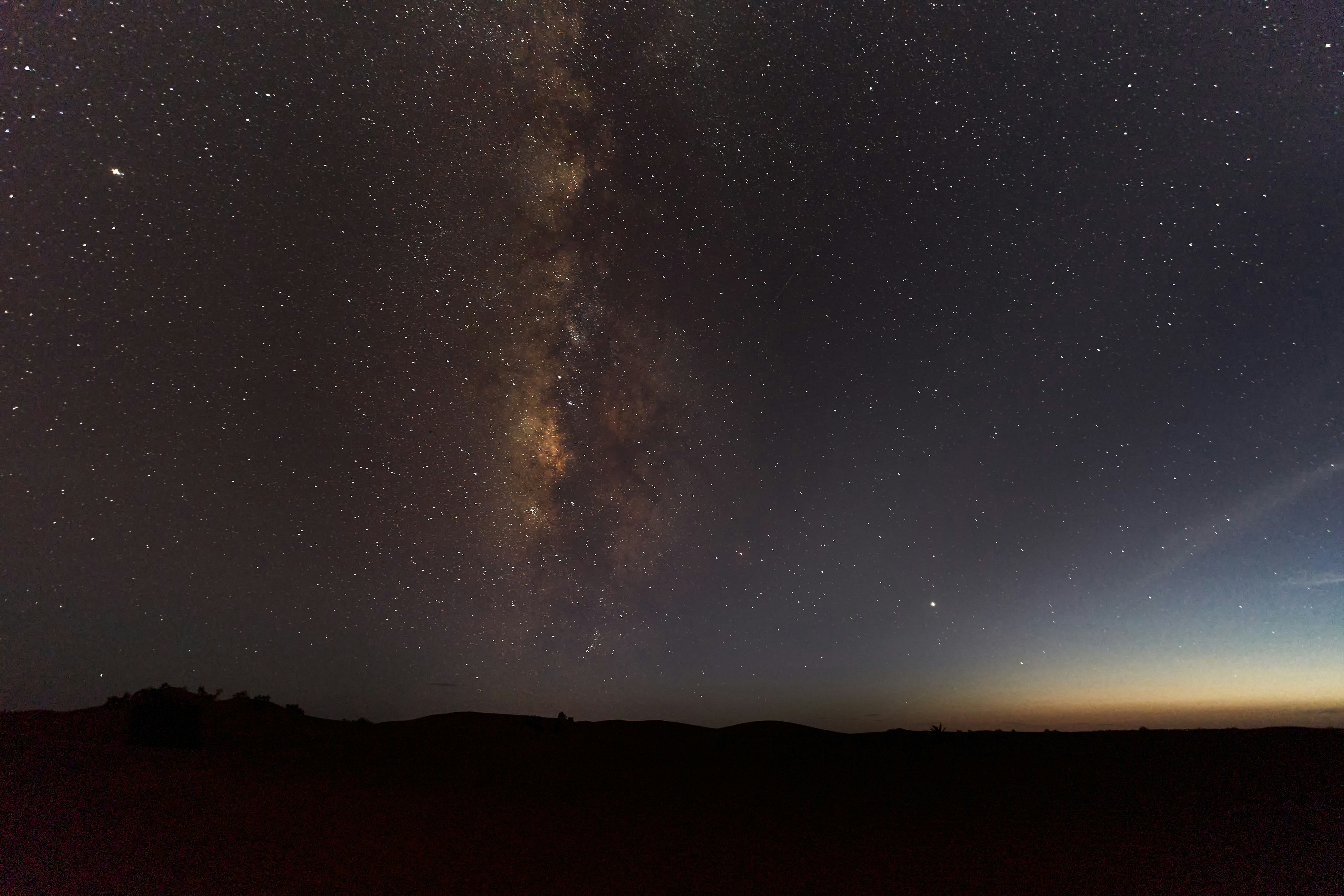 Photo by wolfgang_hasselmann