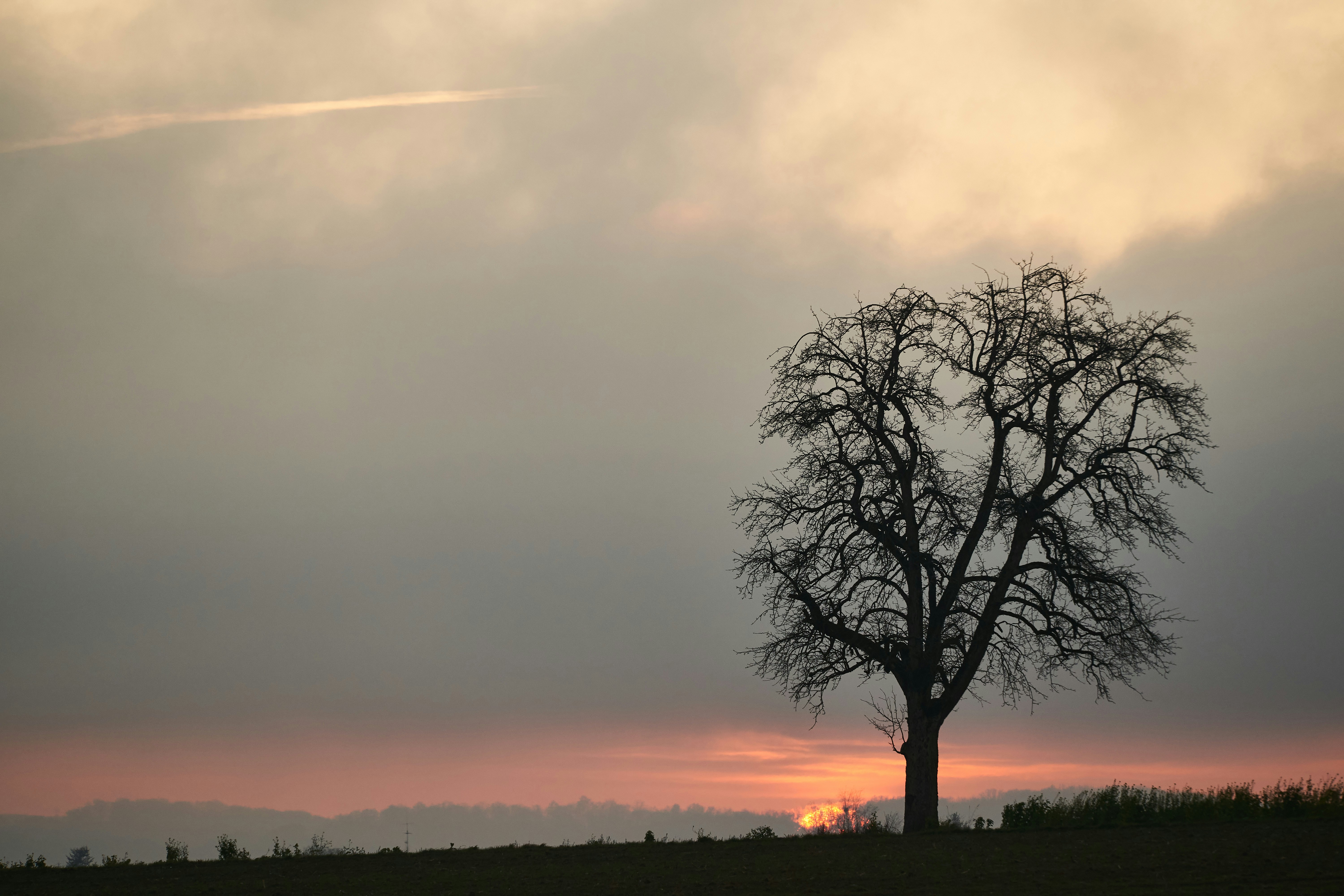 Photo by wolfgang_hasselmann