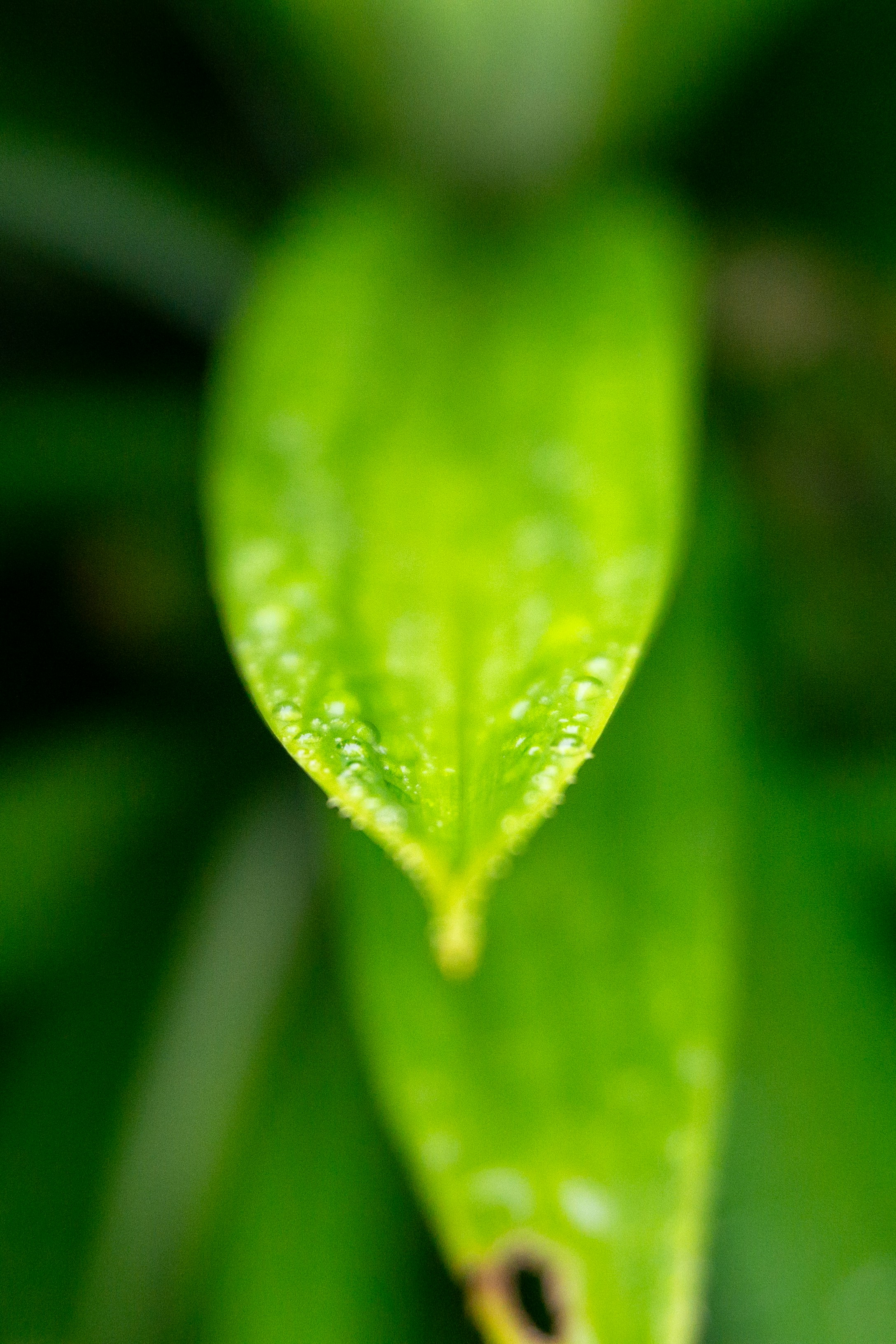 Photo by aletraekaye