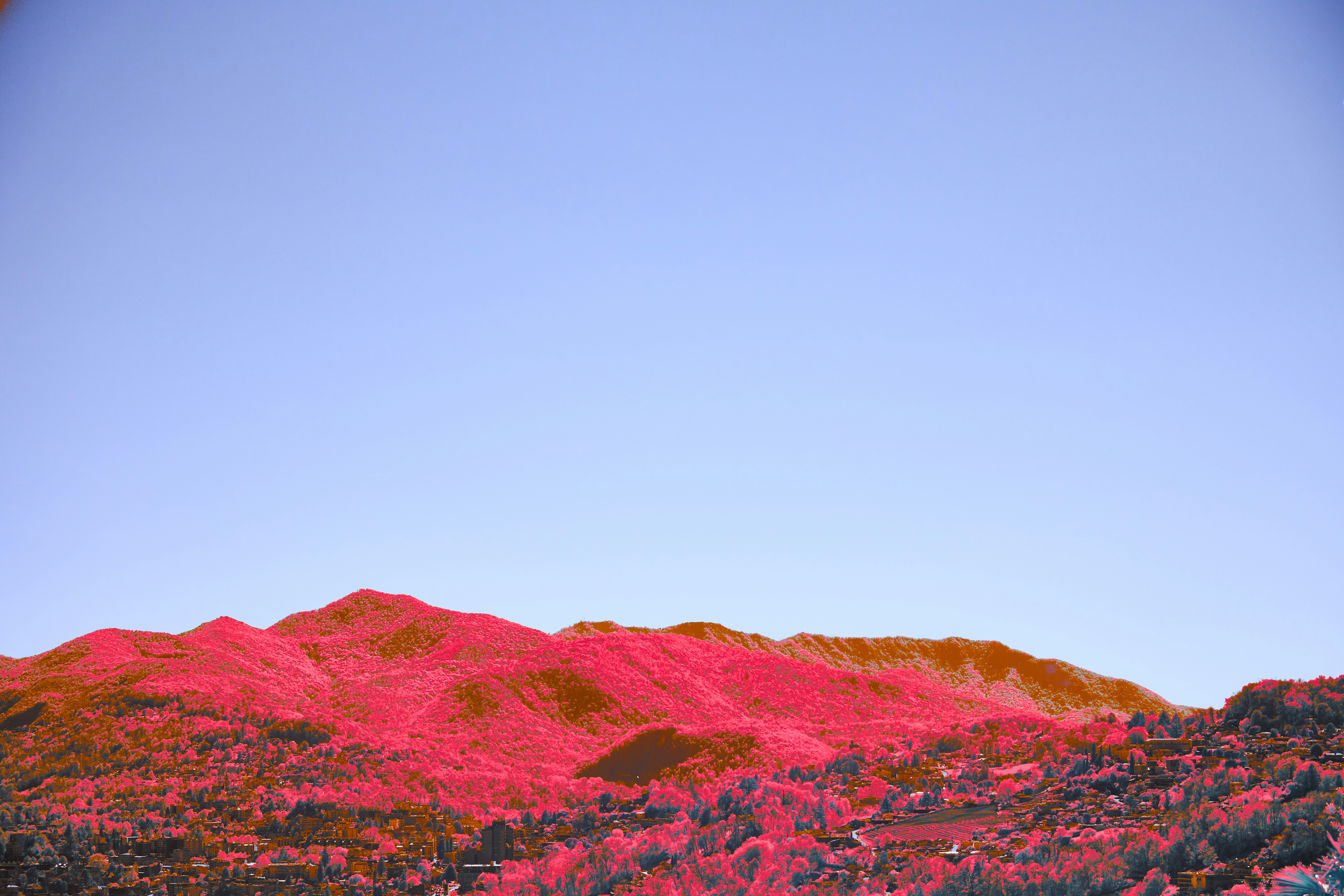 Photo by wolfgang_hasselmann