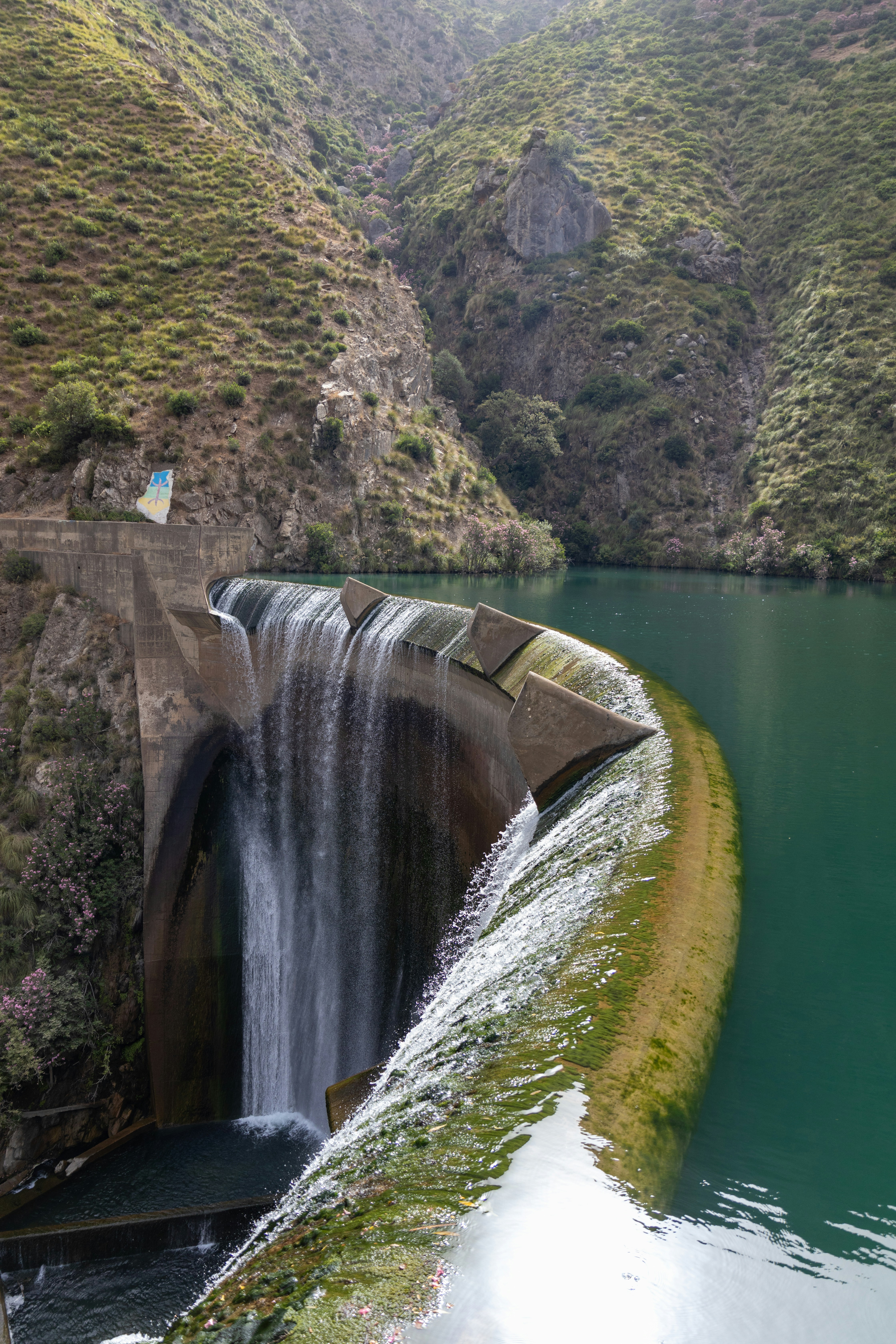 Photo by ovanos