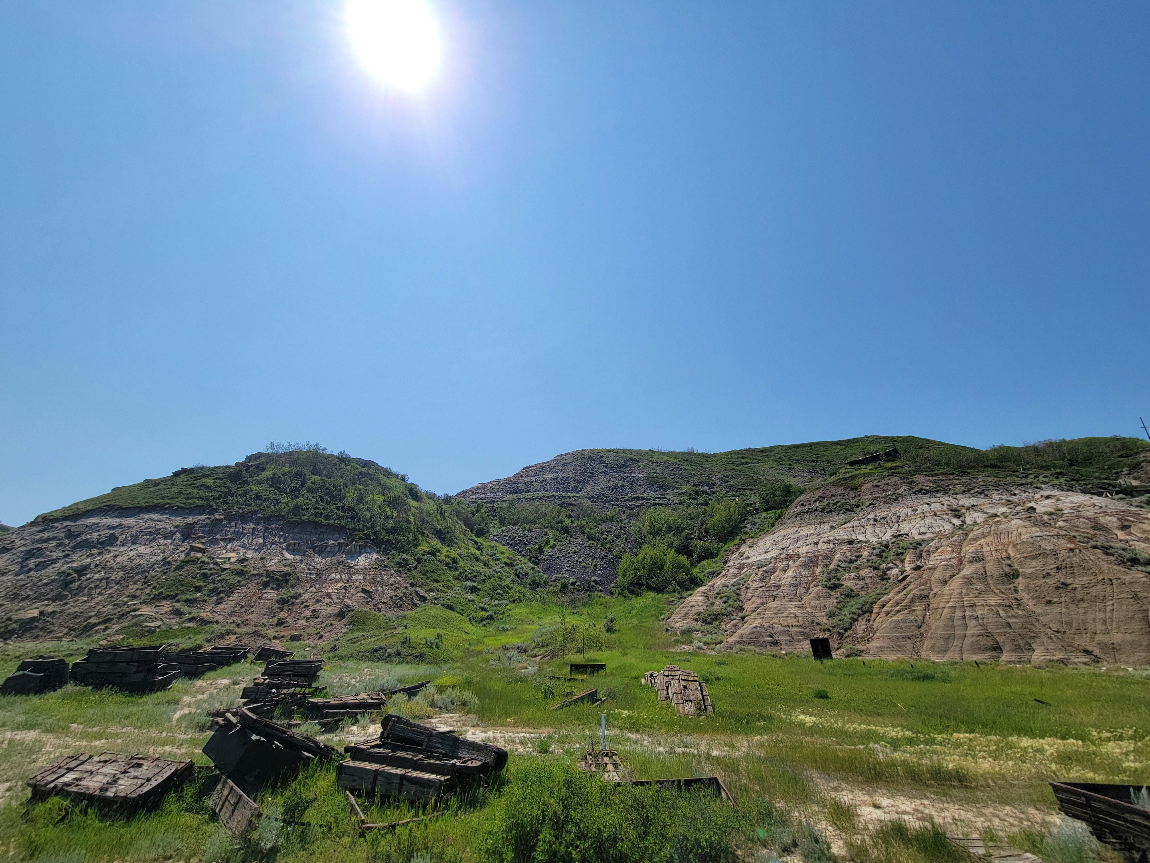 The sun is shining over a grassy field