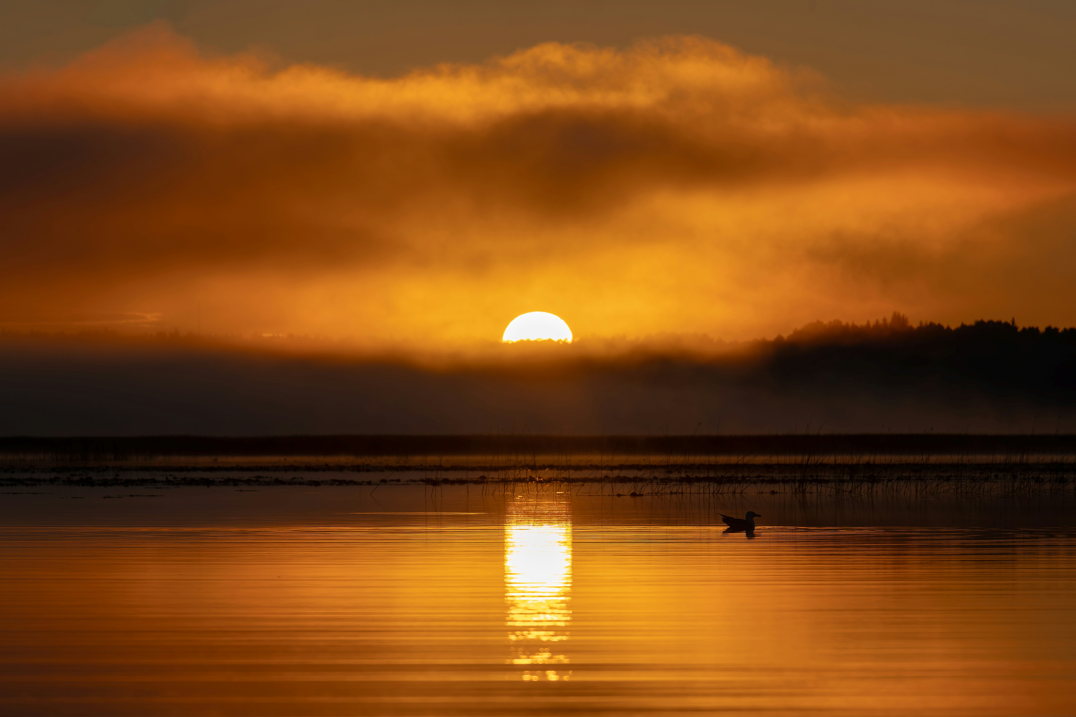 🌟 4. Role Prompting: Khi AI nhập vai và linh hoạt hơn 🎭