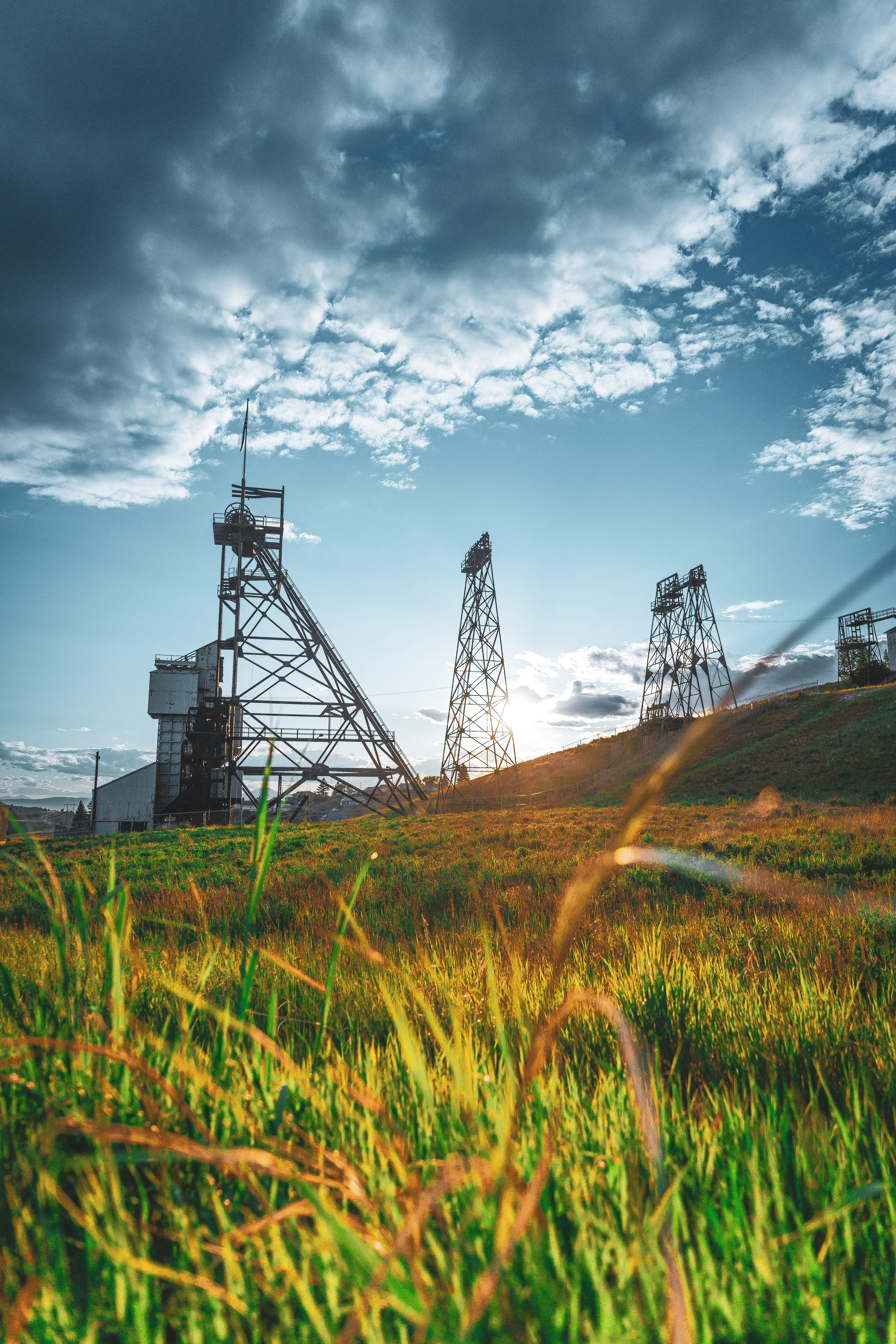 A grassy field with power lines in the background