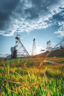 A grassy field with power lines in the background