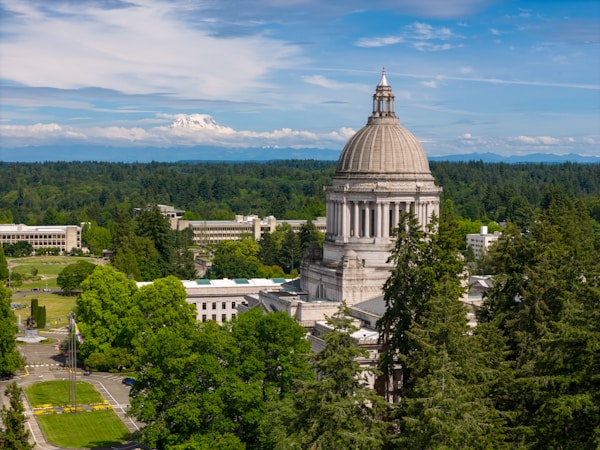 Web Design in Olympia, WA