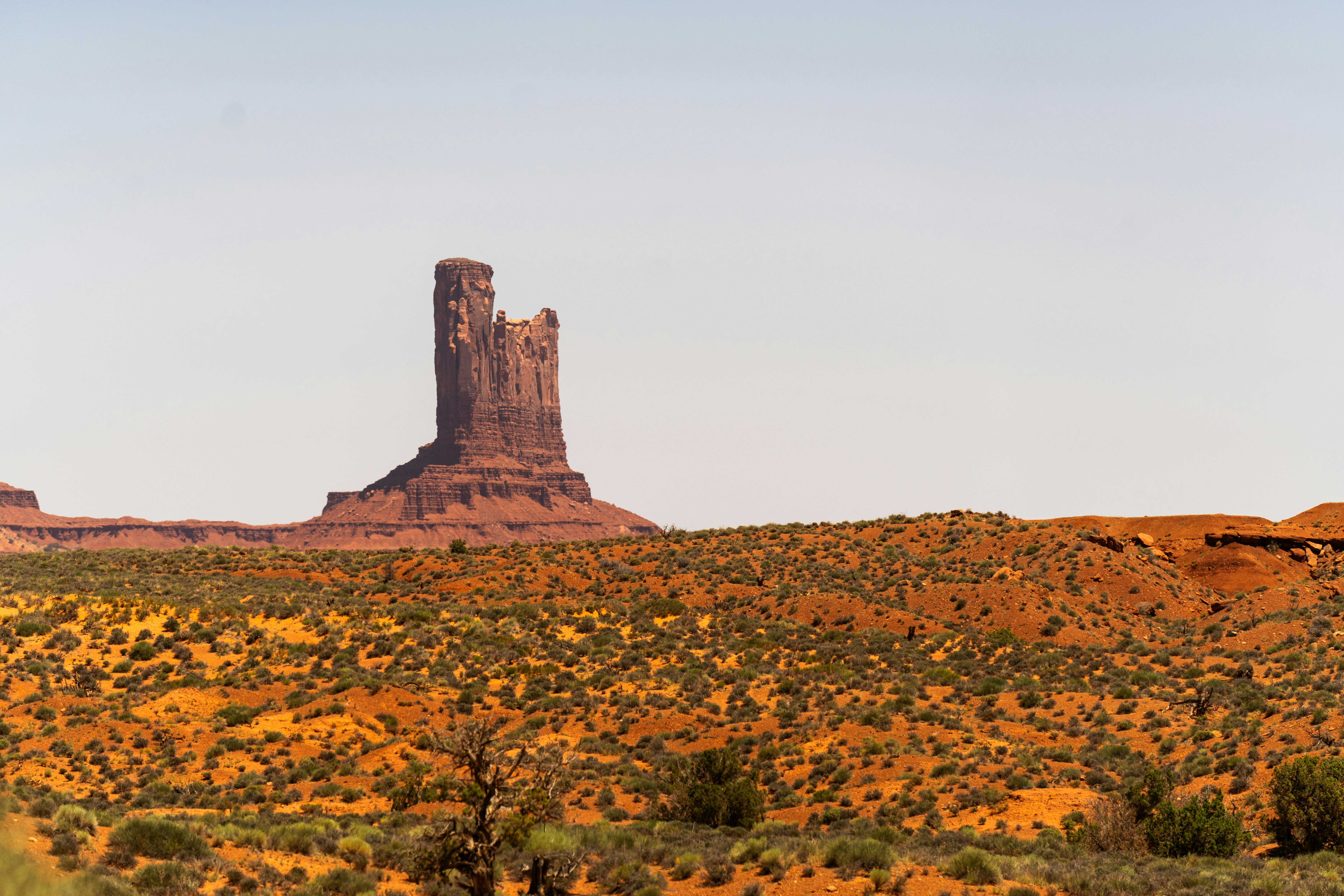 Photo by nhuenerfuerst