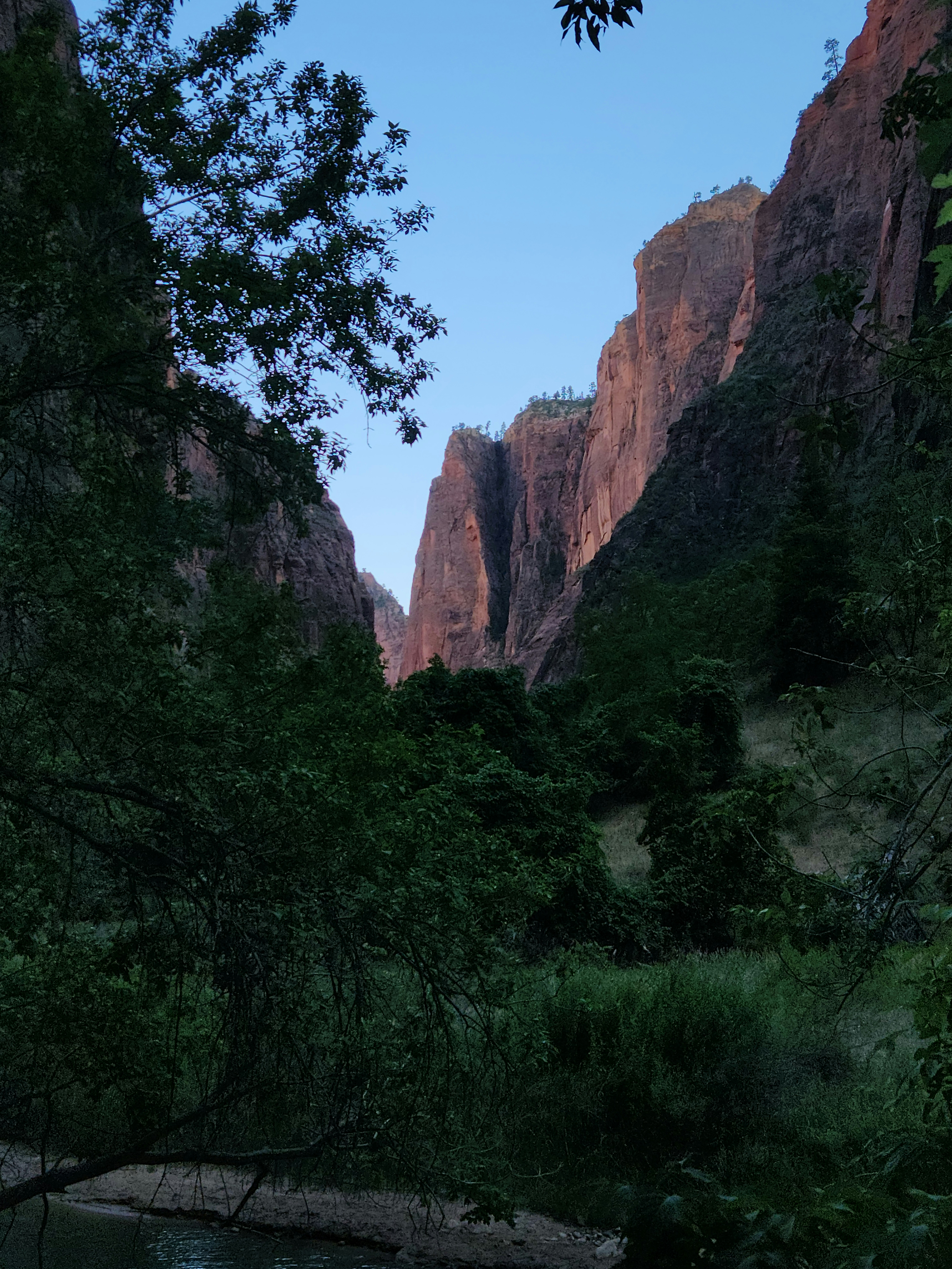 Photo by zoshuacolah