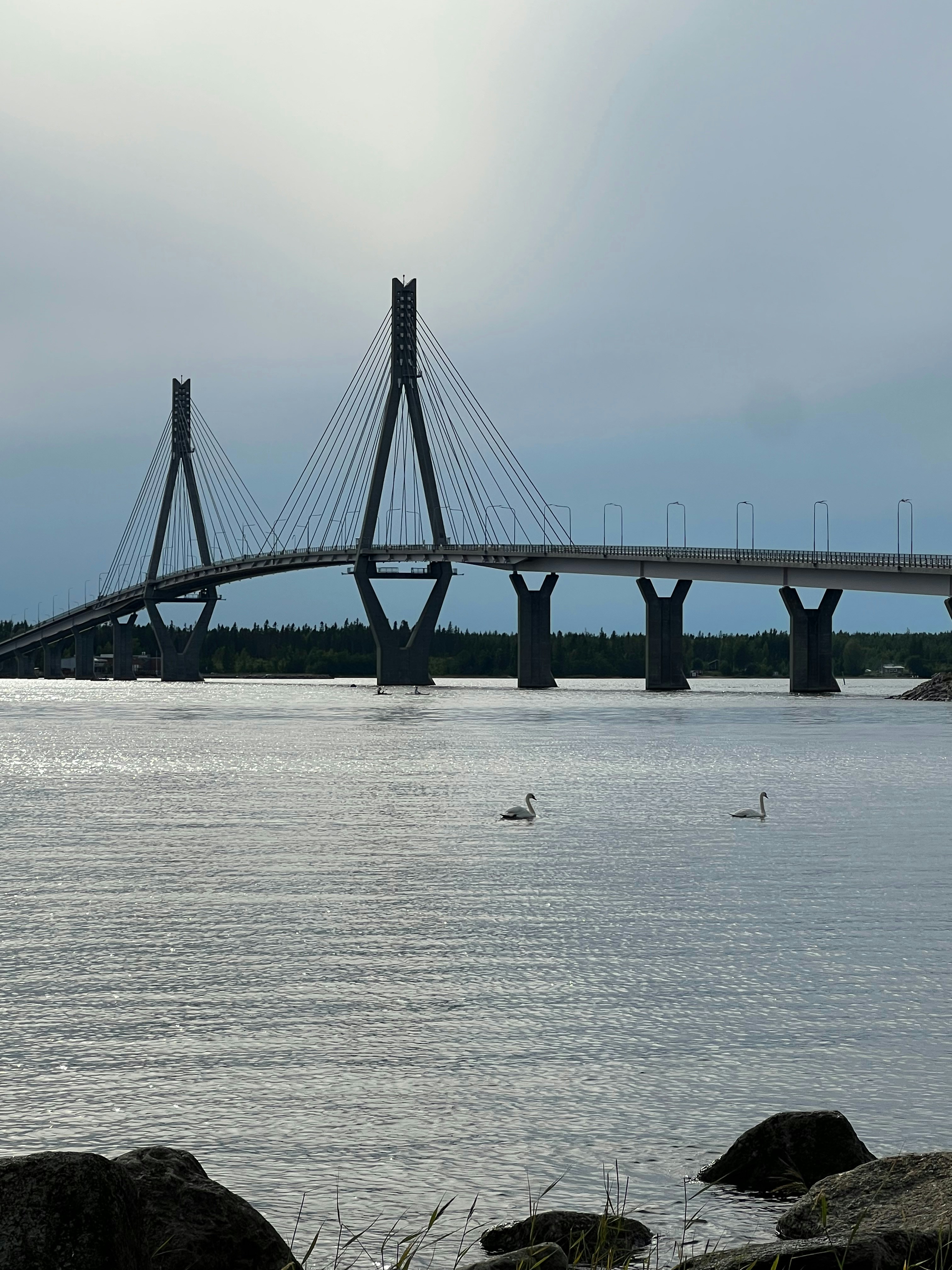 Un gran puente sobre una gran masa de agua