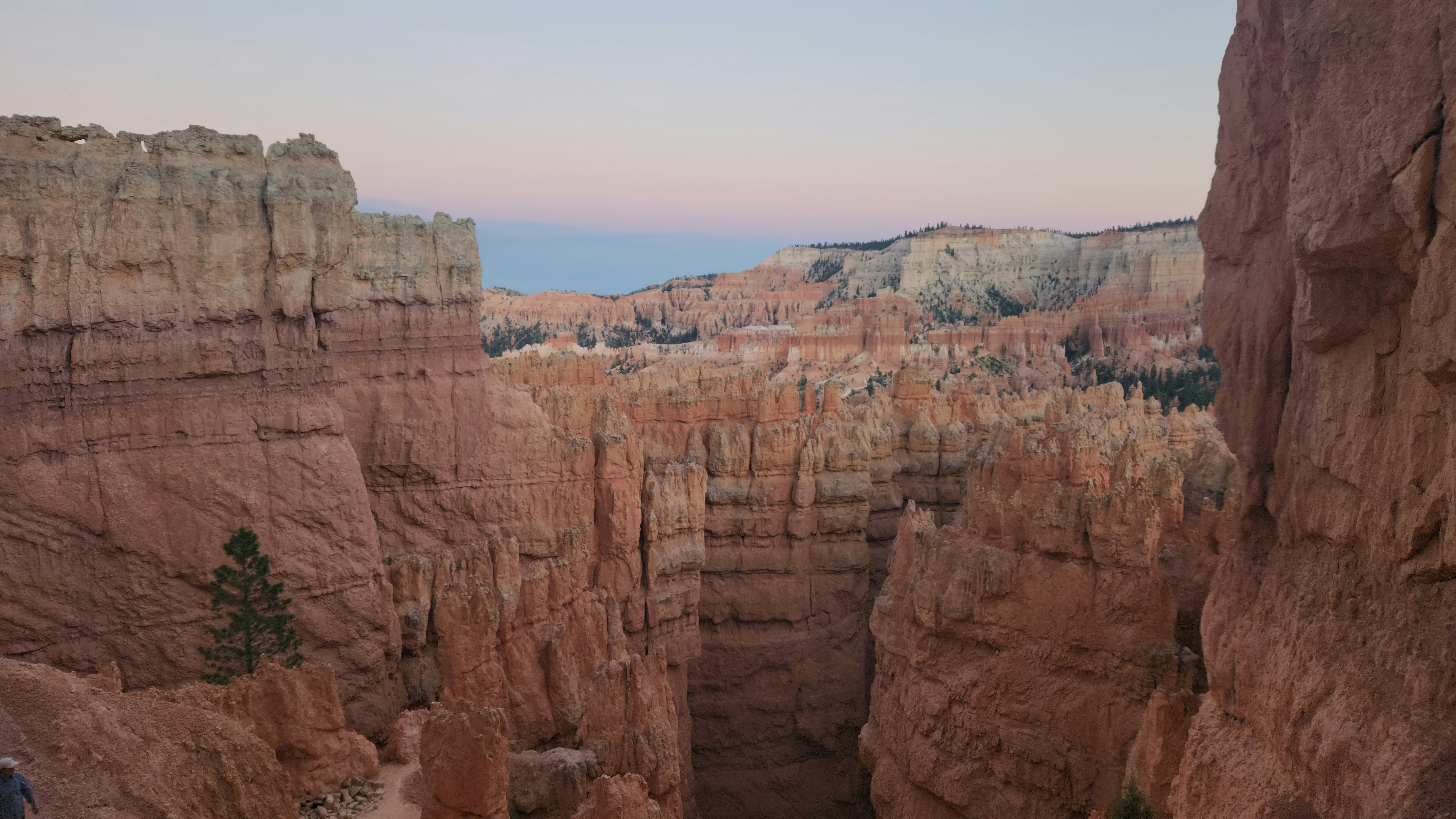 Photo by zoshuacolah