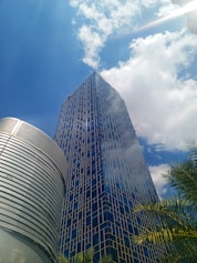 A very tall building sitting next to a palm tree