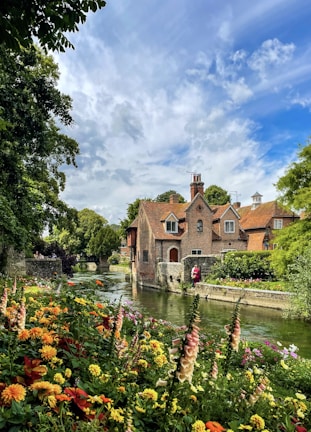 A river running through a lush green forest filled with flowers