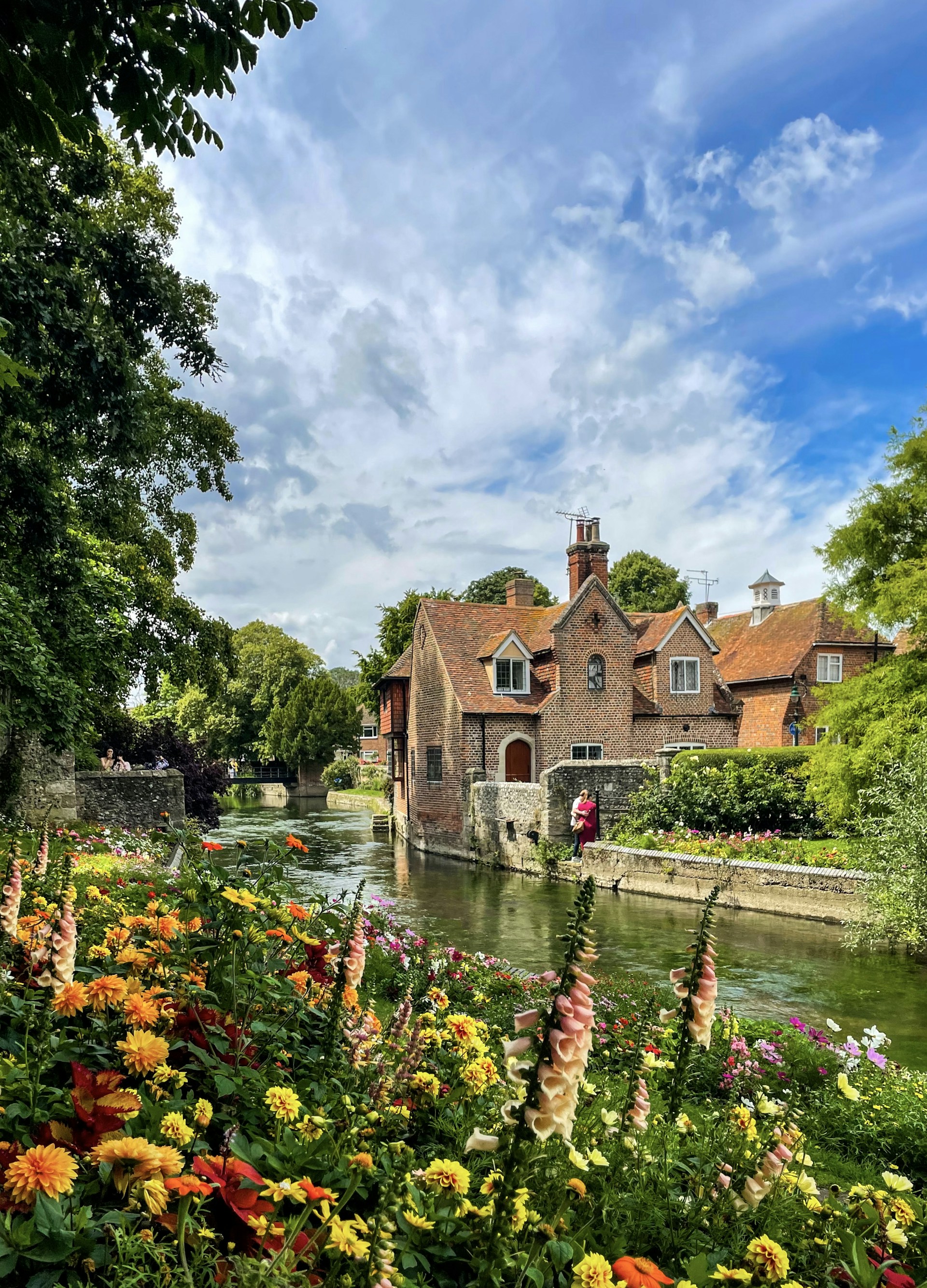 A river running through a lush green forest filled with flowers