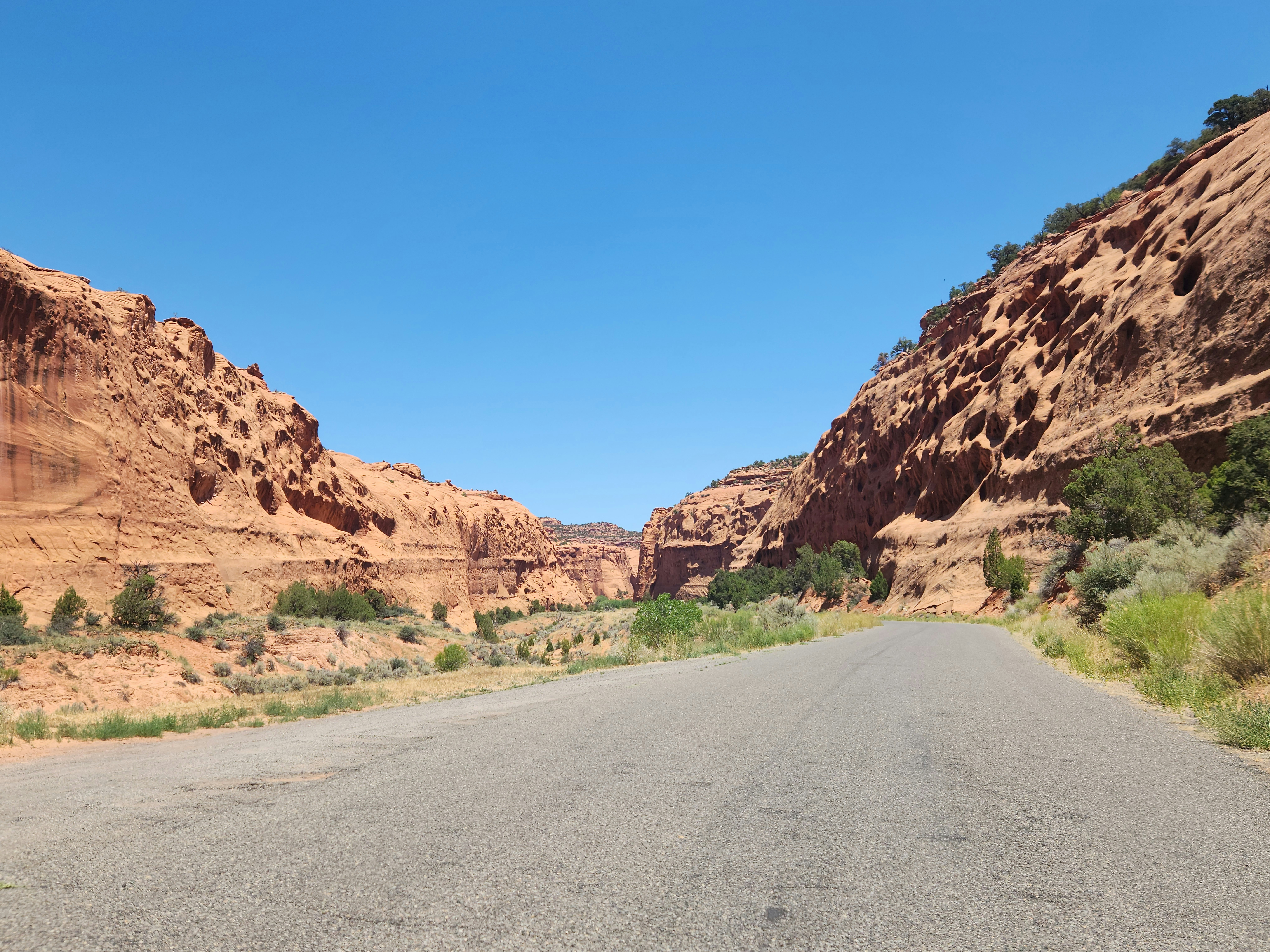 Unforgettable Summer Road Trip Ideas for Adventure Seekers