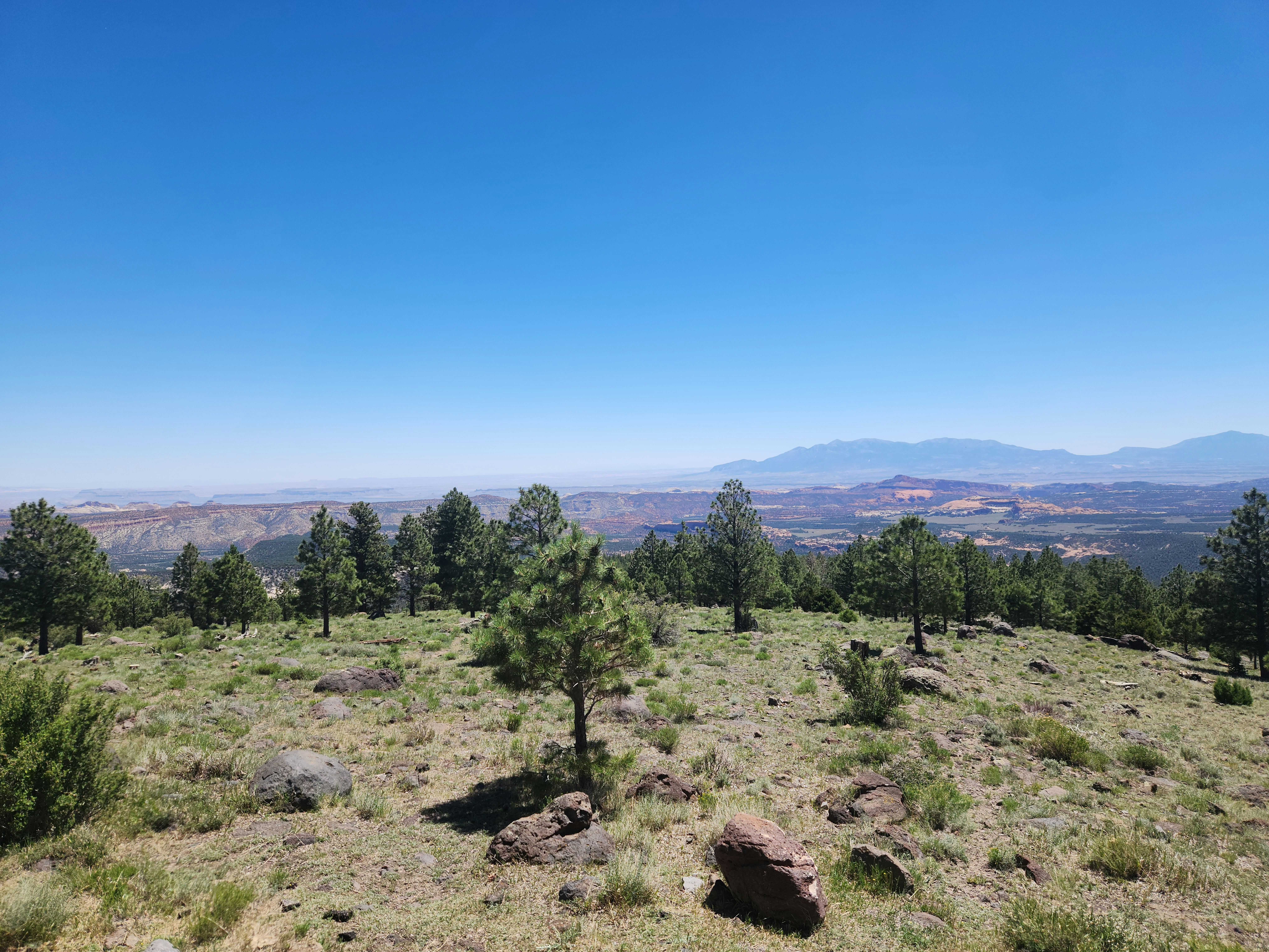 Photo by zoshuacolah