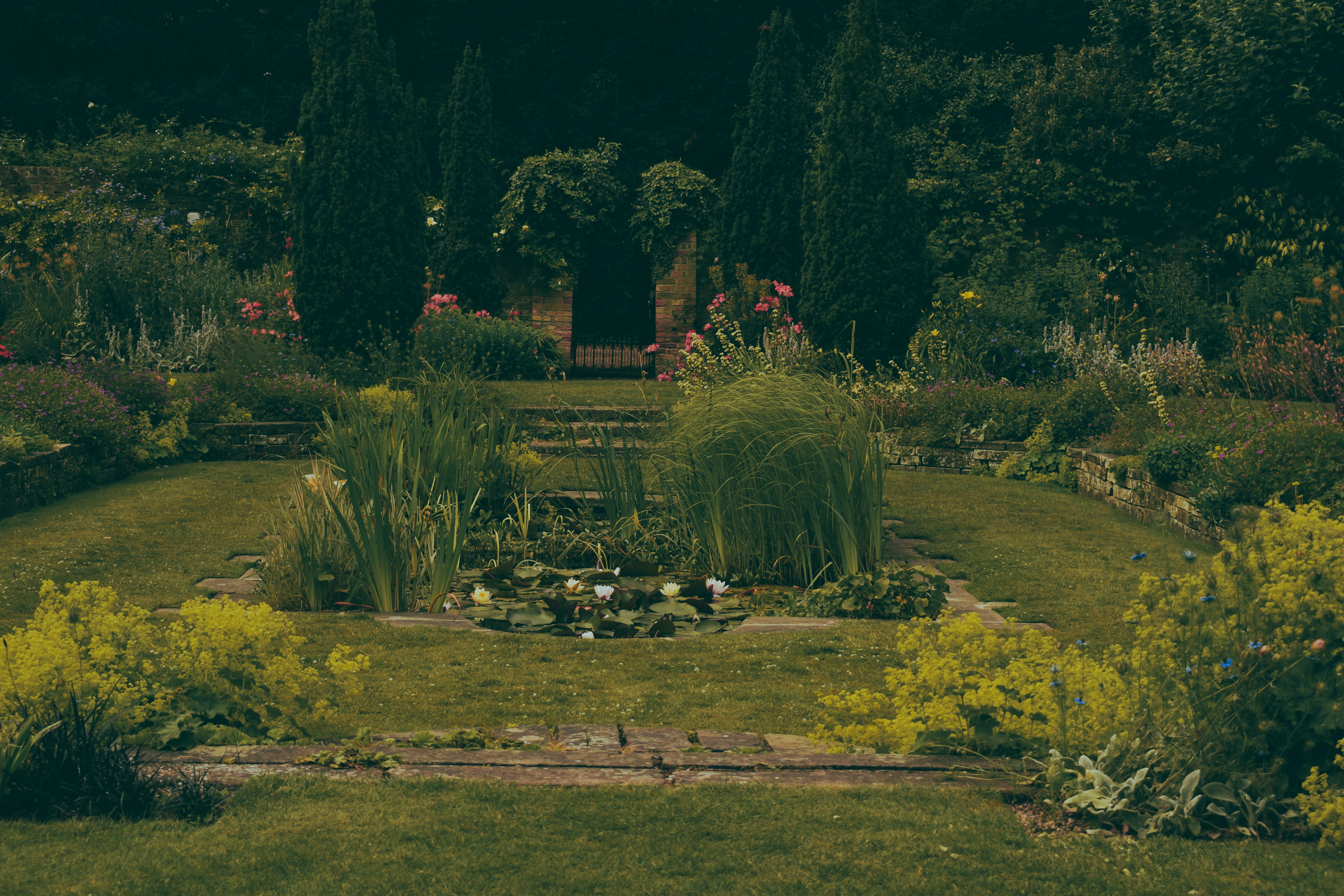 A garden filled with lots of green grass and flowers
