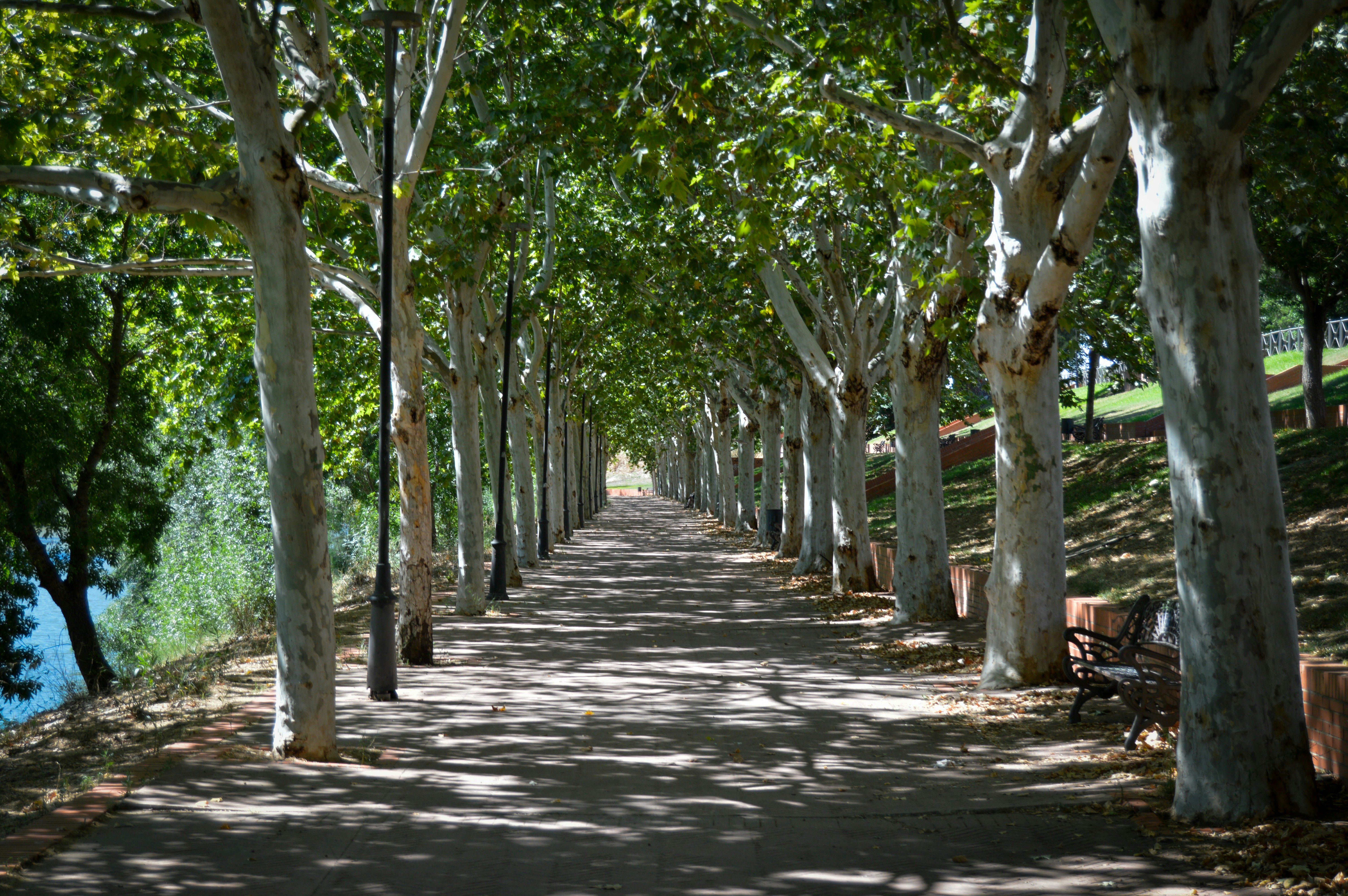 Photo by richardmultimedia