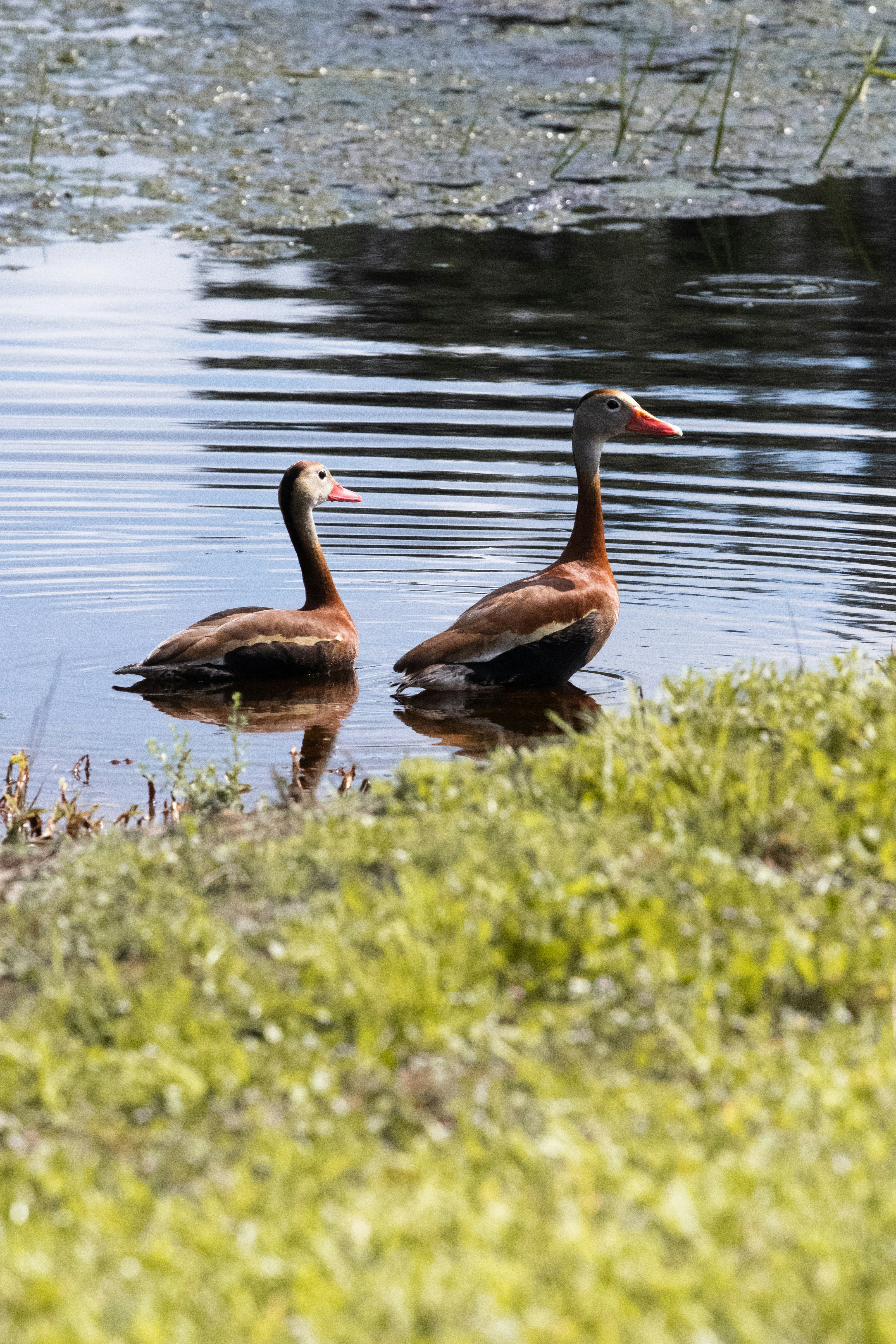 Photo by jackson_sears