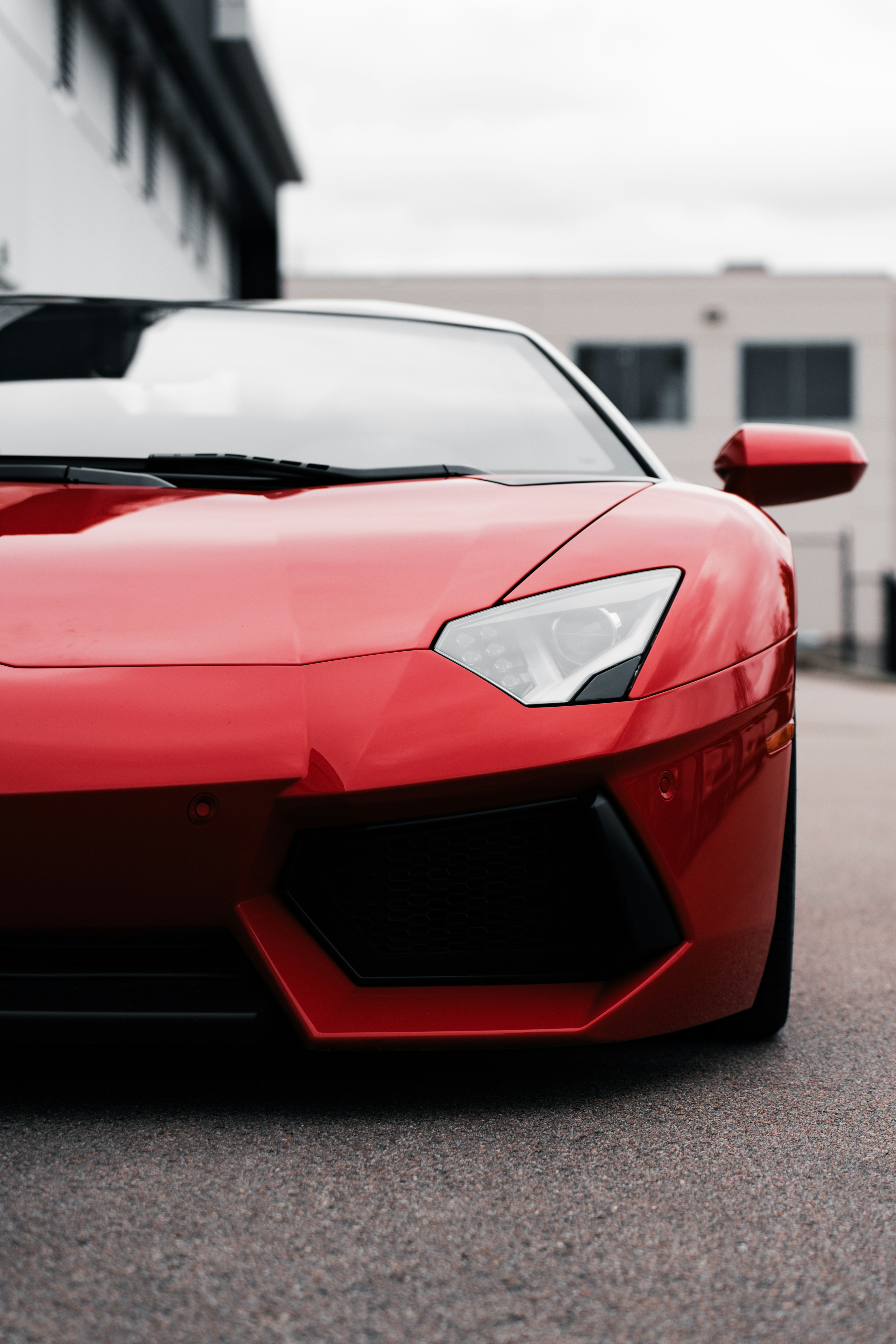 Photo by leonidas718