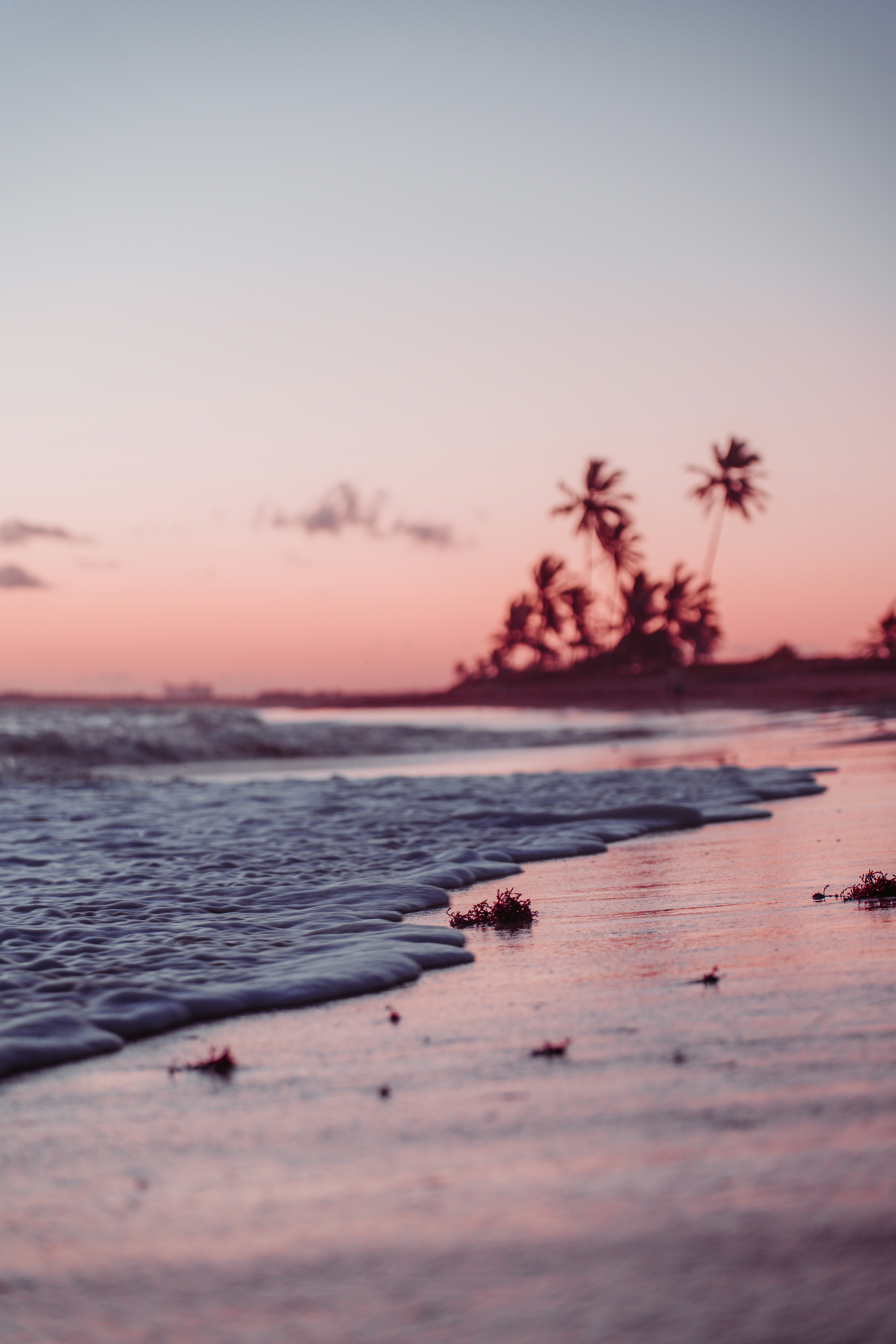 Uma praia com ondas chegando à costa e palmeiras ao fundo foto – Imagem  grátis sobre Praia na Unsplash, image size:3000x4500