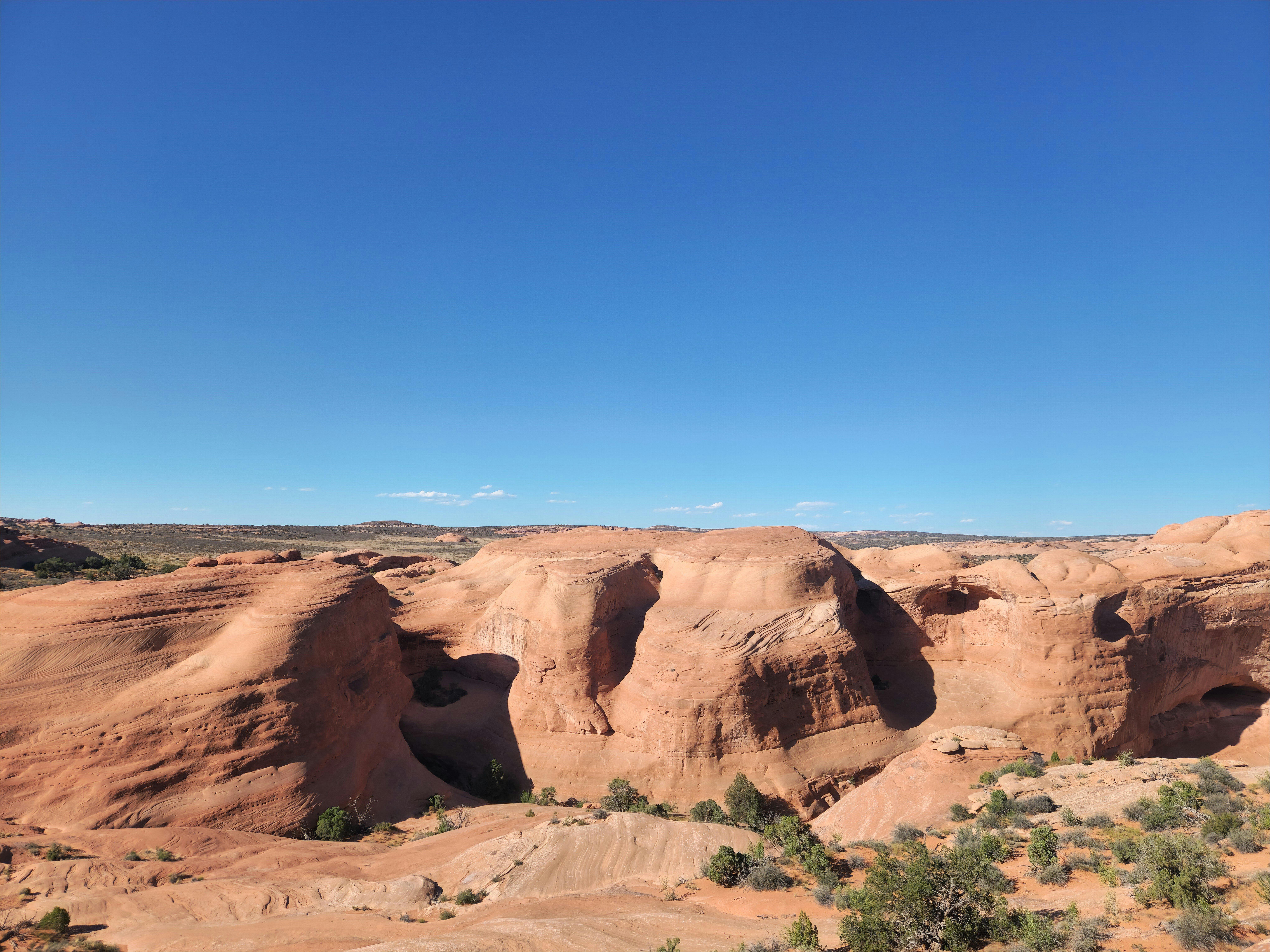 Photo by zoshuacolah