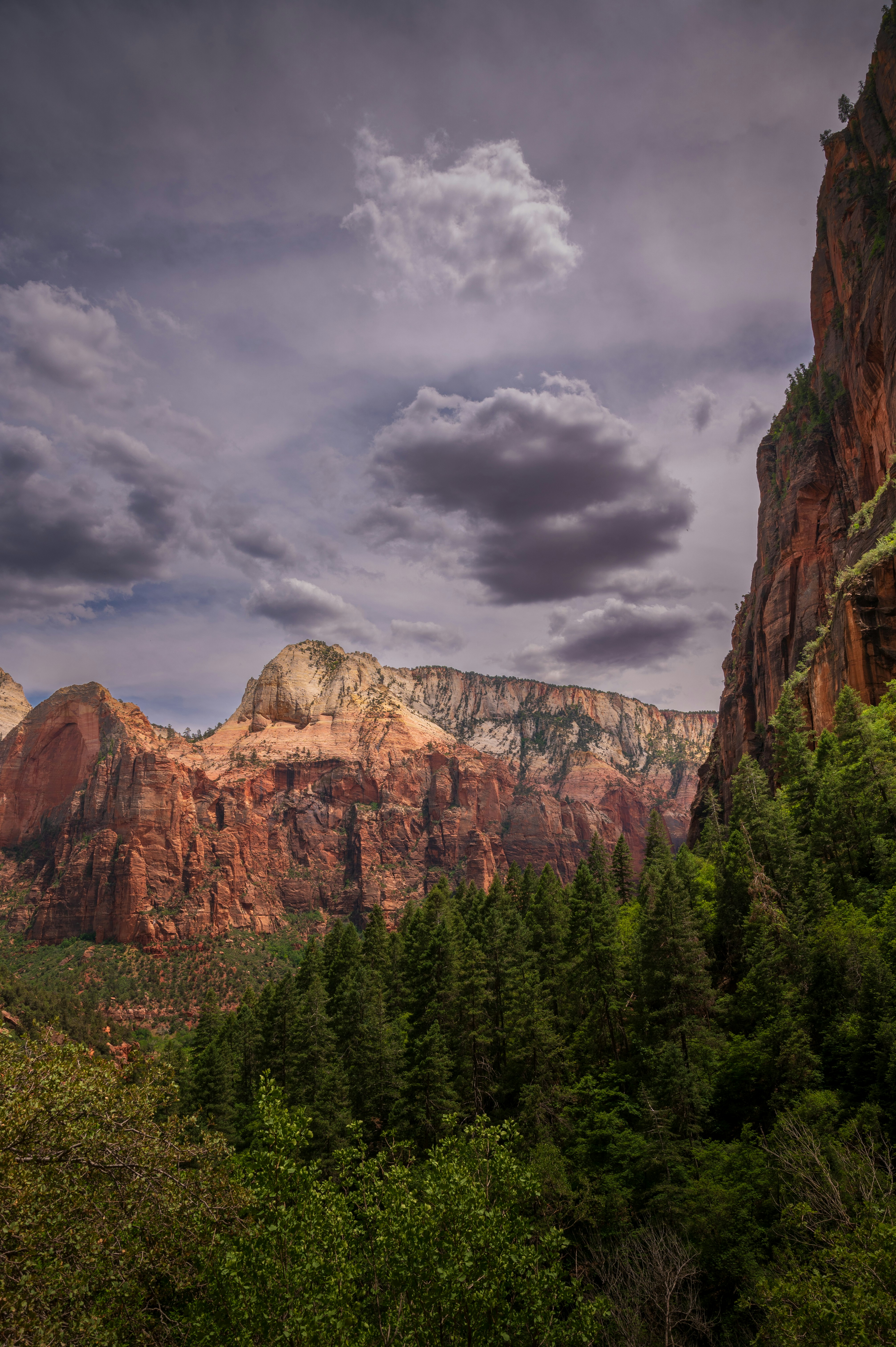 Photo by claytonschase