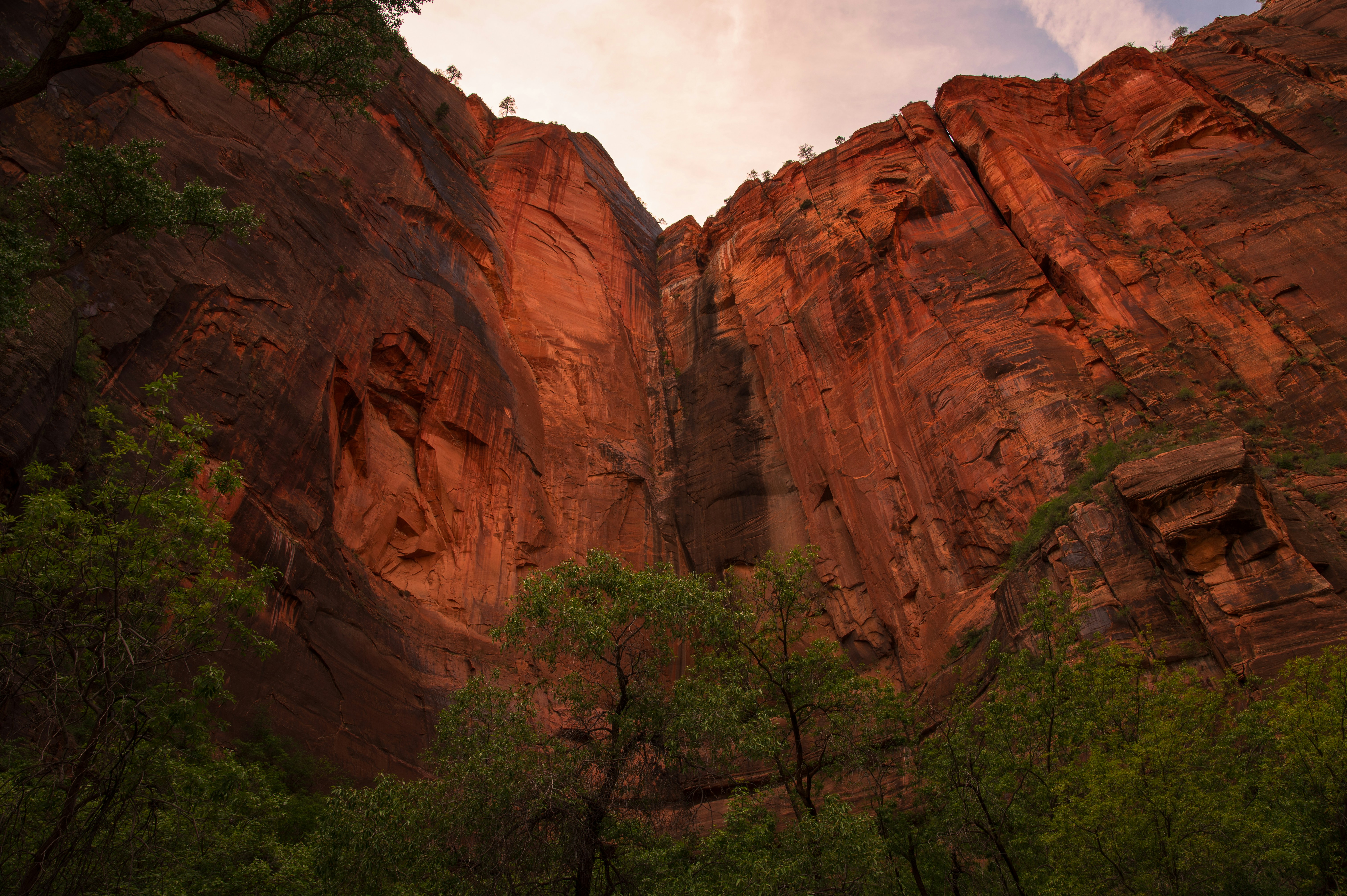 Photo by claytonschase