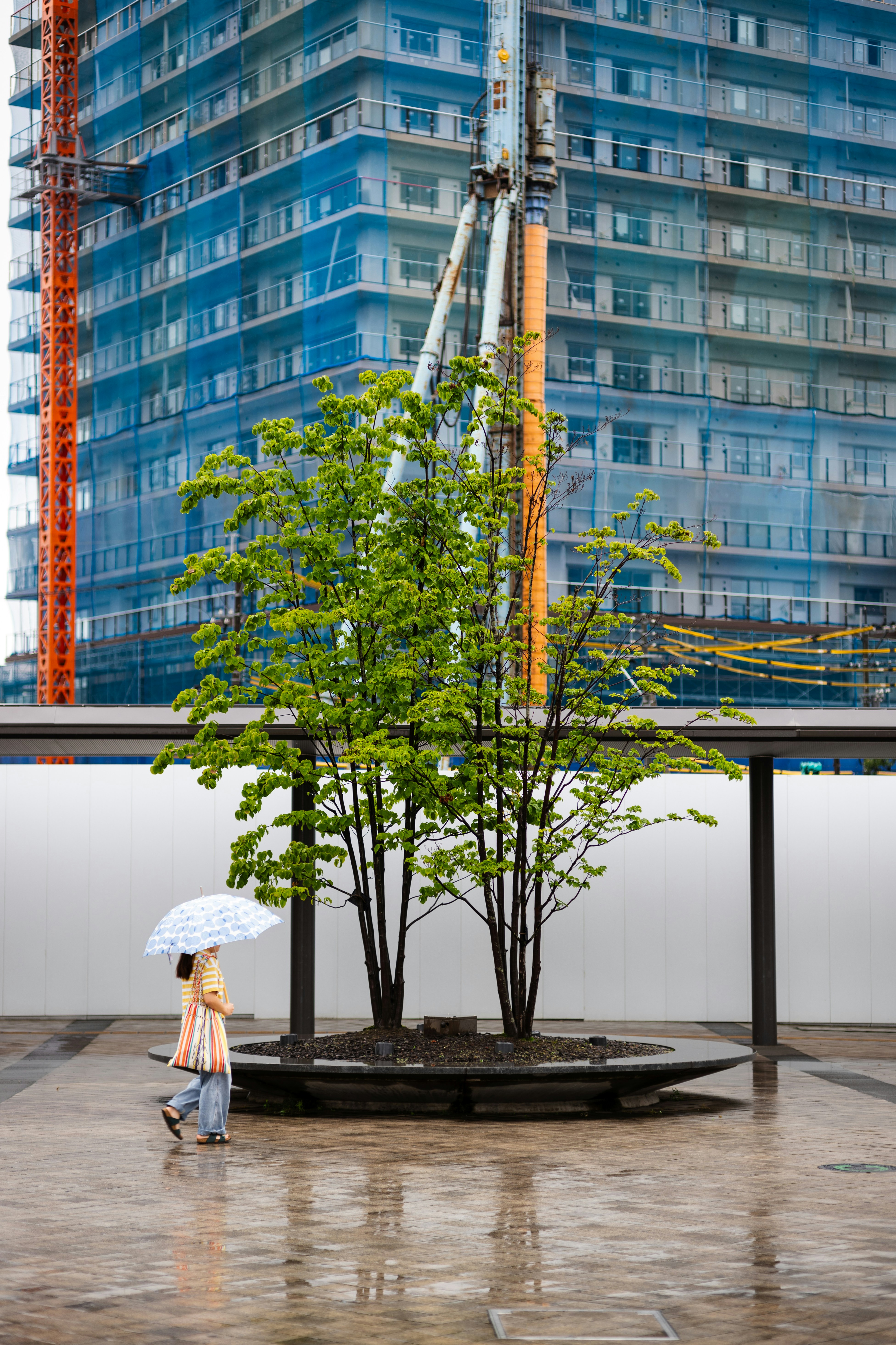 Sustainable Urban Tokyo