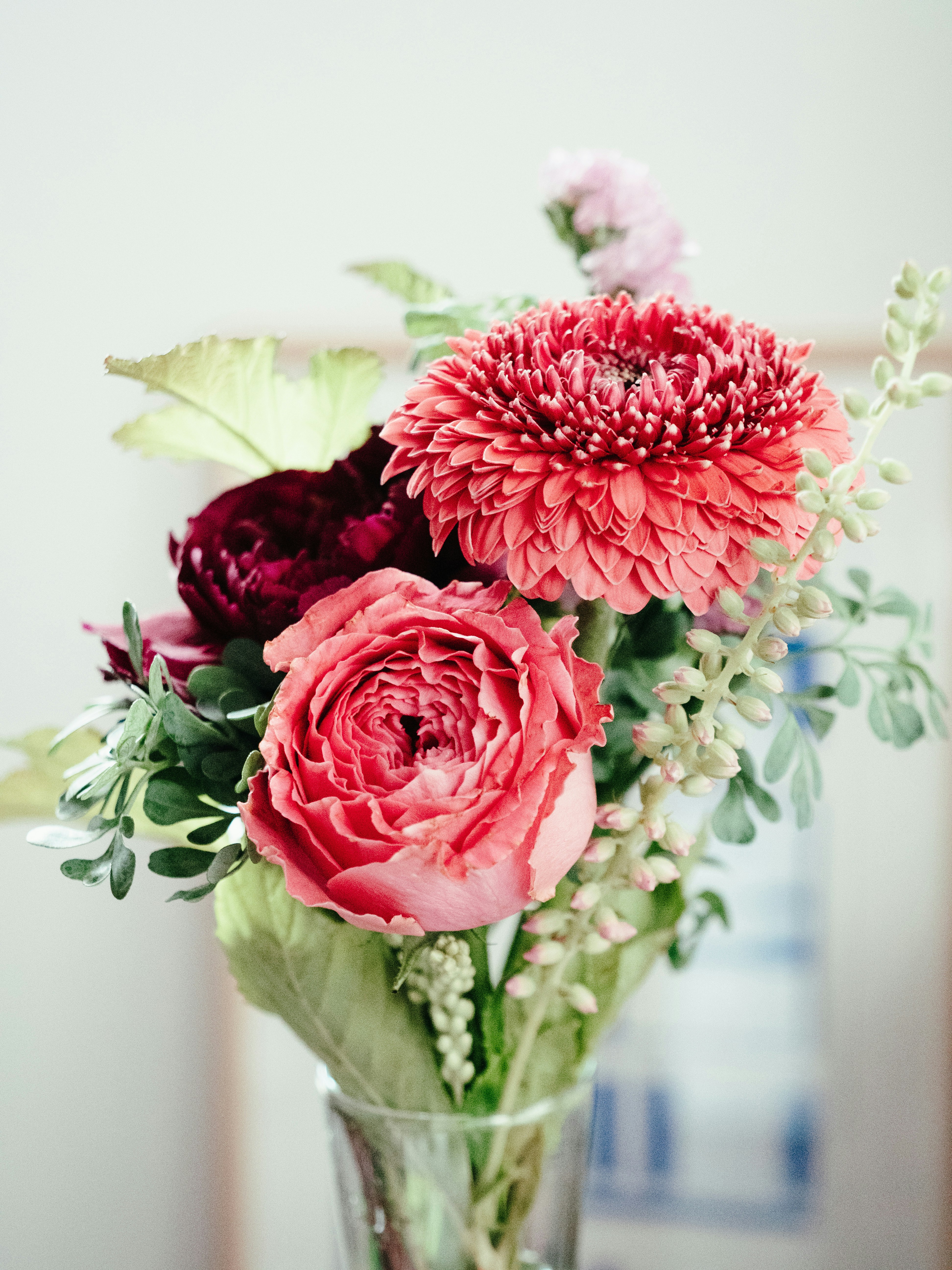 Photo by greendinosaur_com