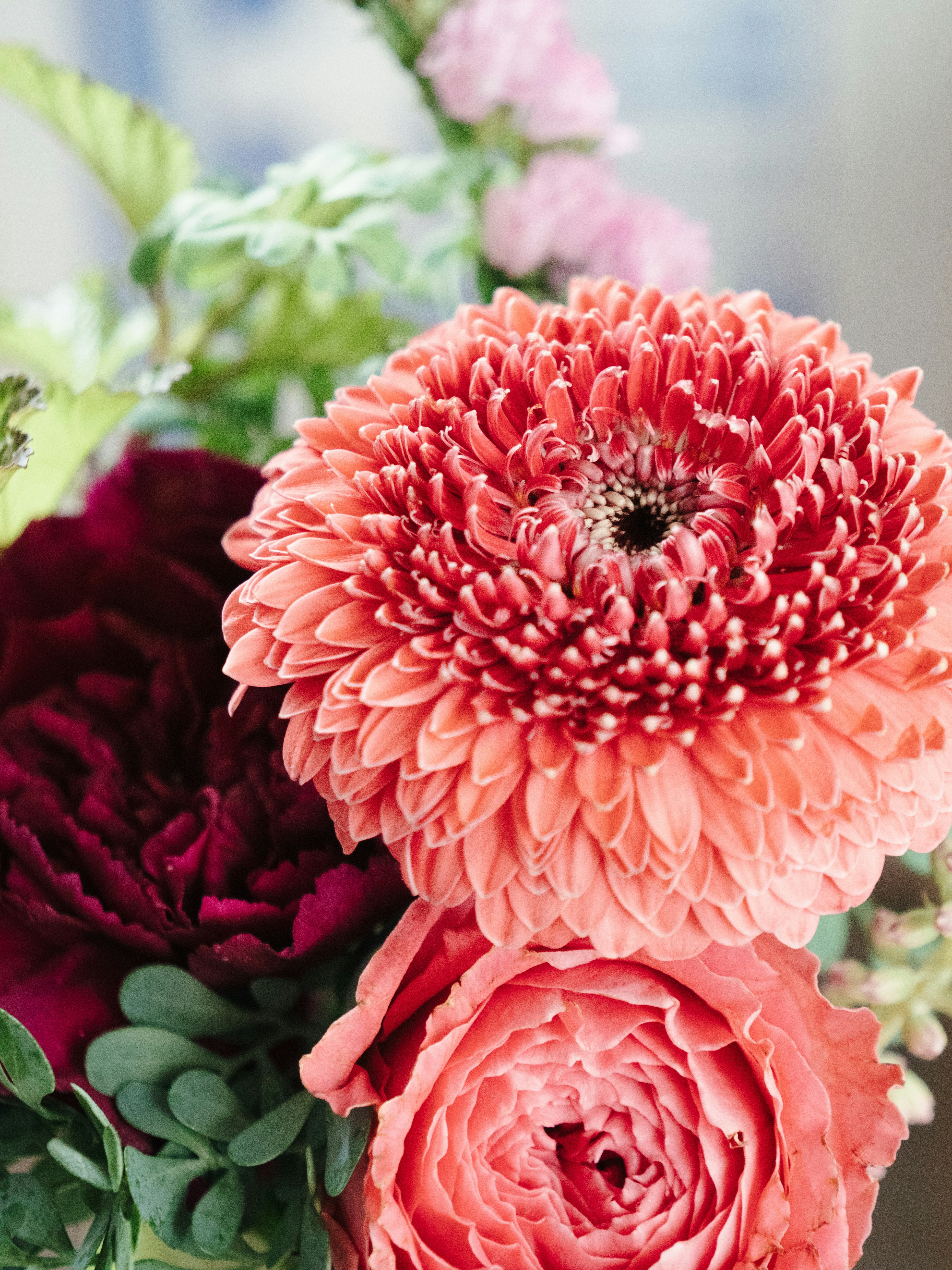 Photo by greendinosaur_com