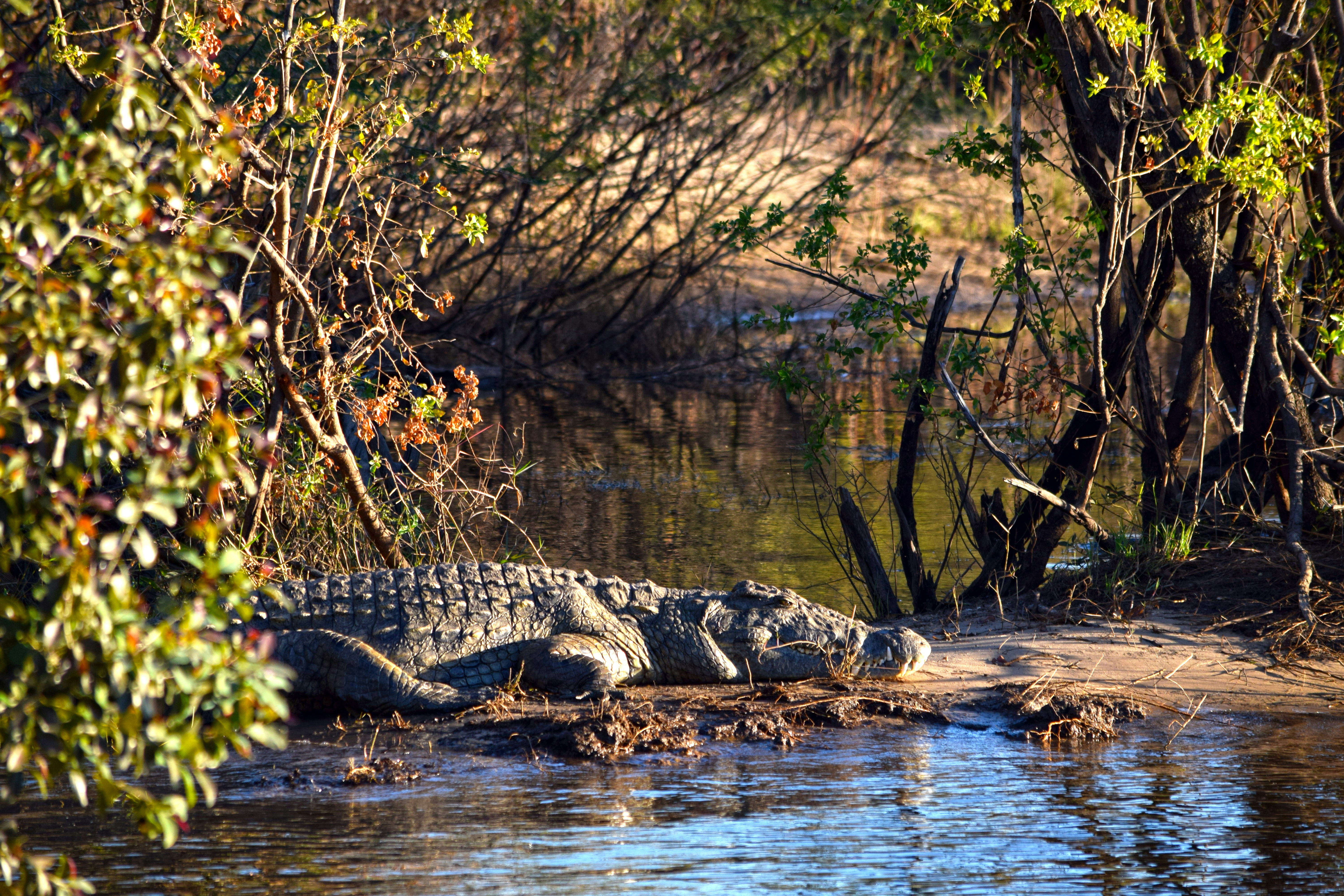 Photo by mocream_coffee