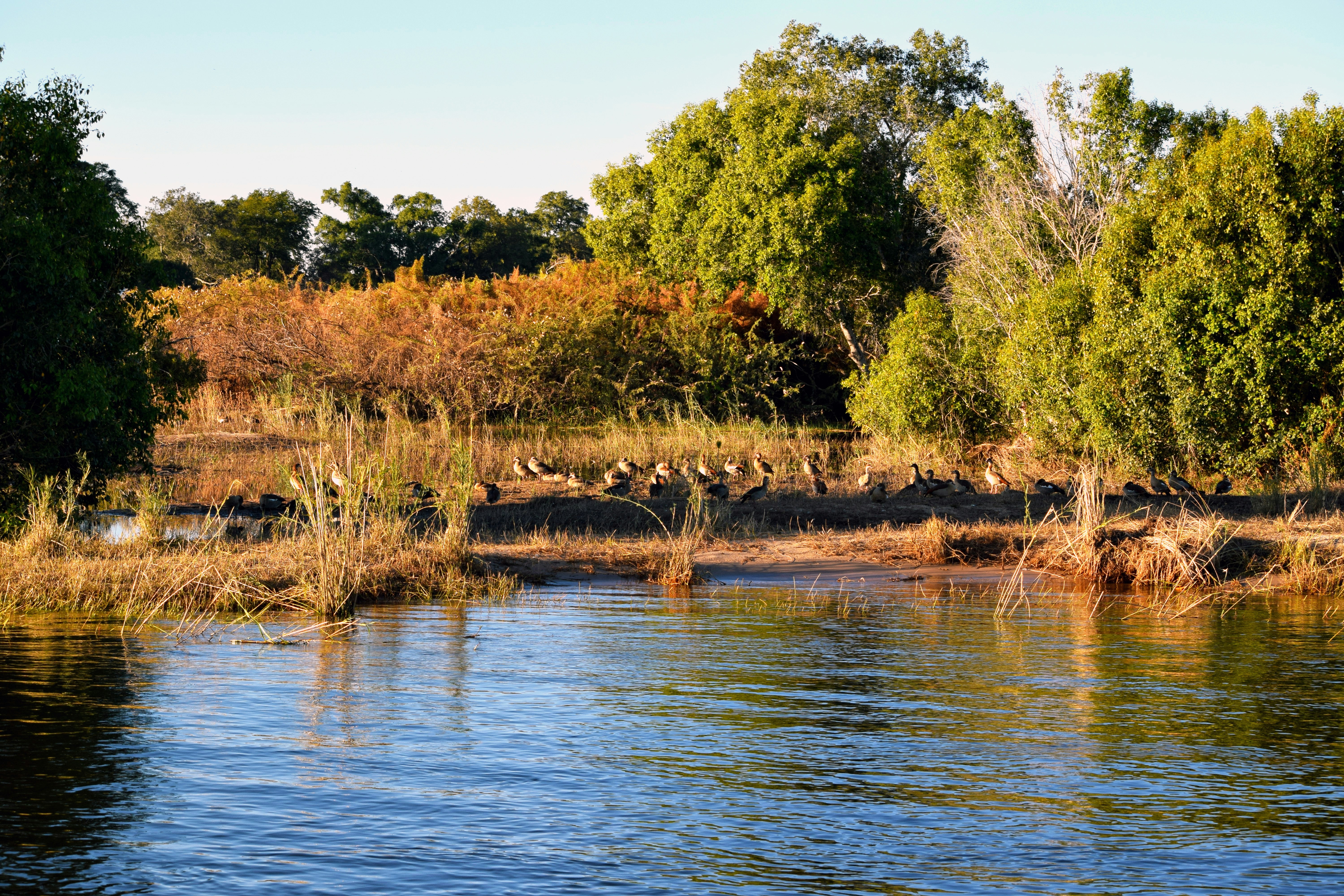 Photo by mocream_coffee