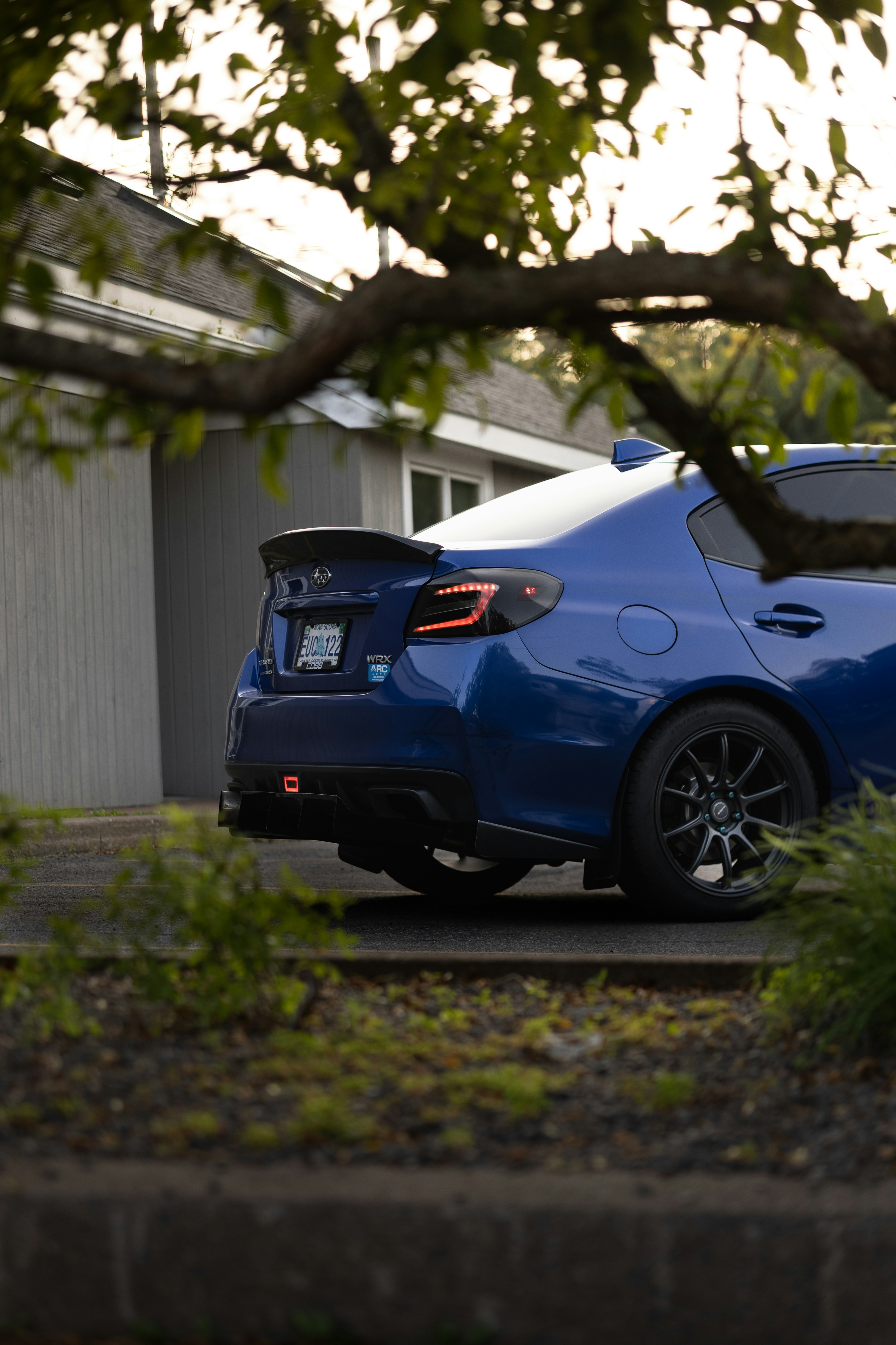 Photo by stevenrector