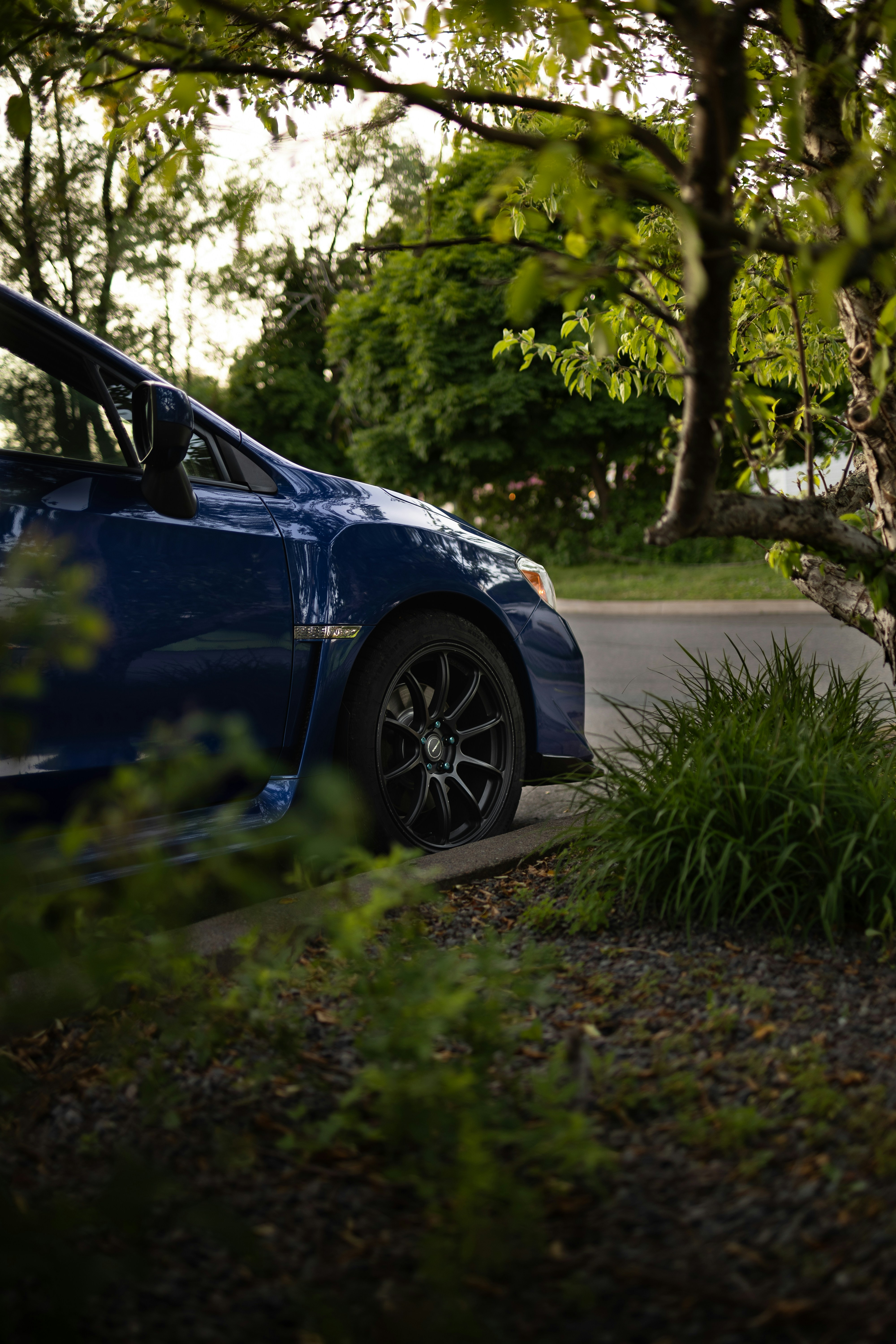 Photo by stevenrector