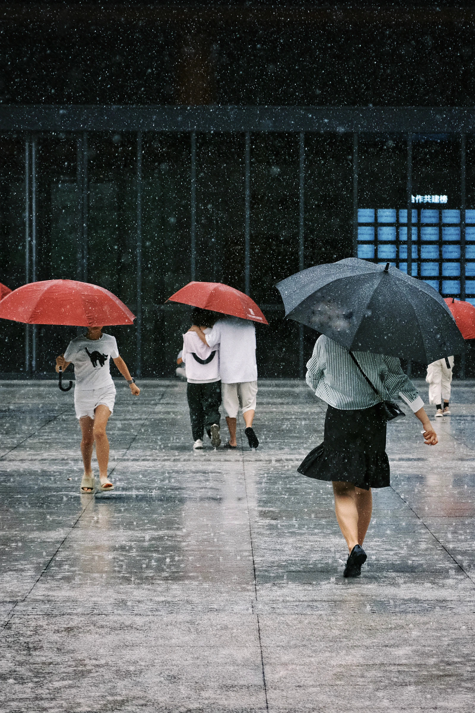 A group of people sheltered together under umbrellas, representing broad protection