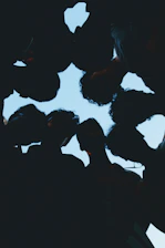 Silhouettes of people looking up at the sky