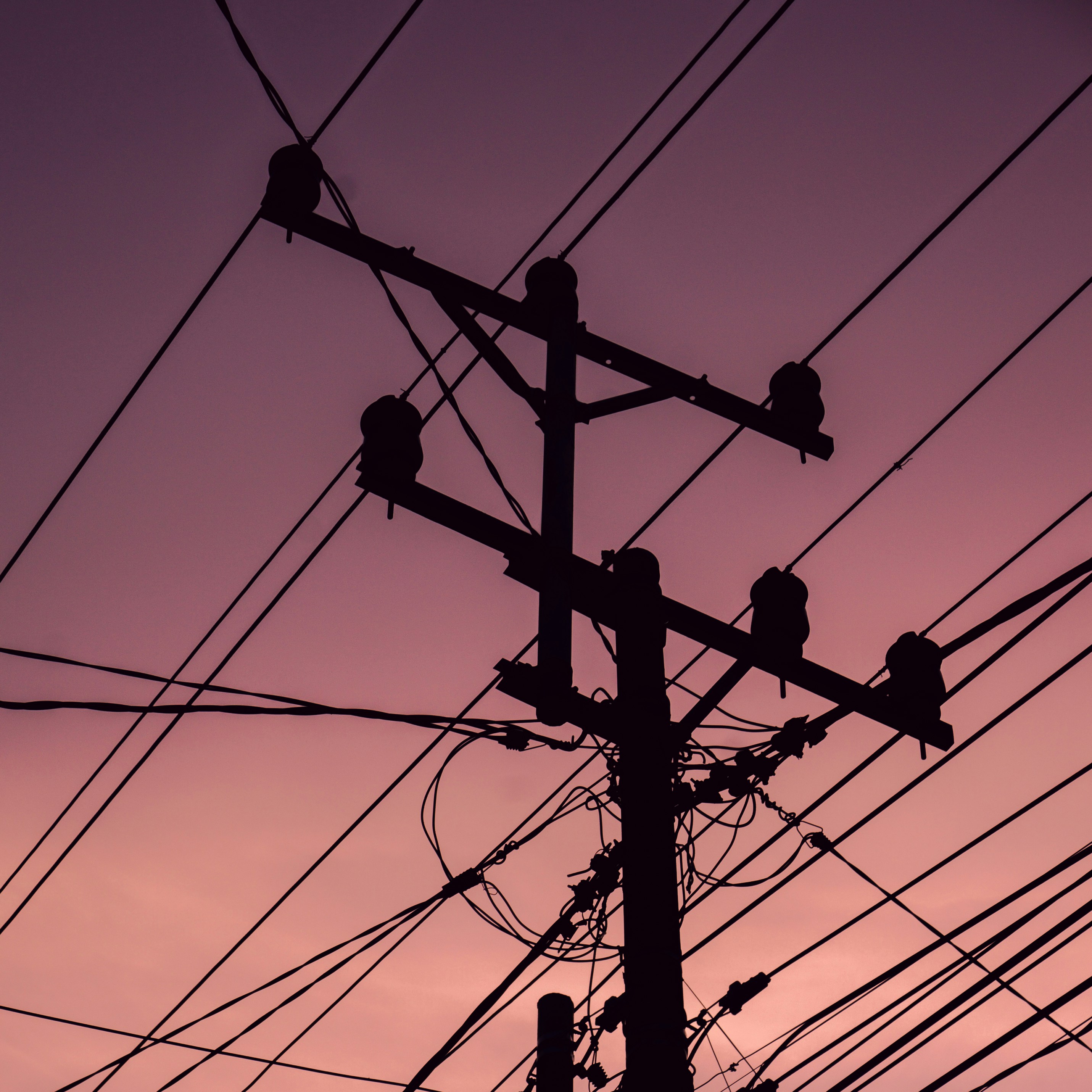 Photo by aletraekaye