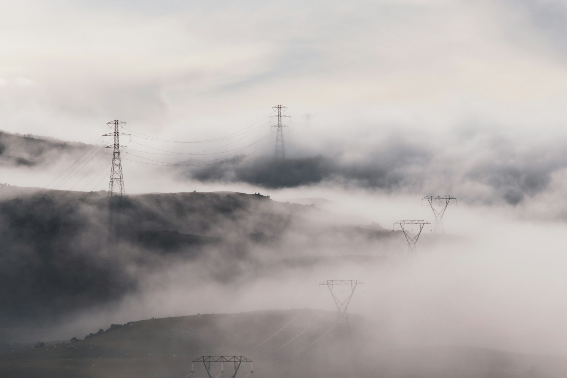 A foggy landscape with telephone poles in the distance