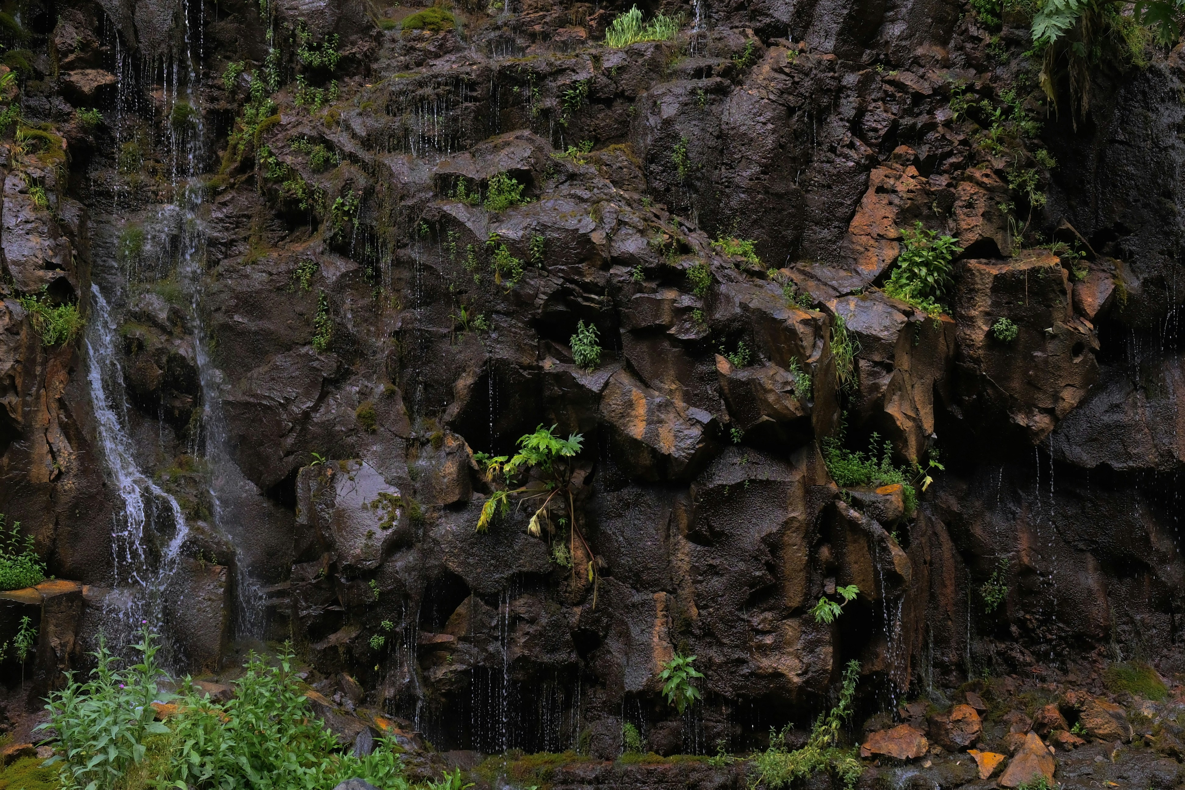 Photo by mrparalloid