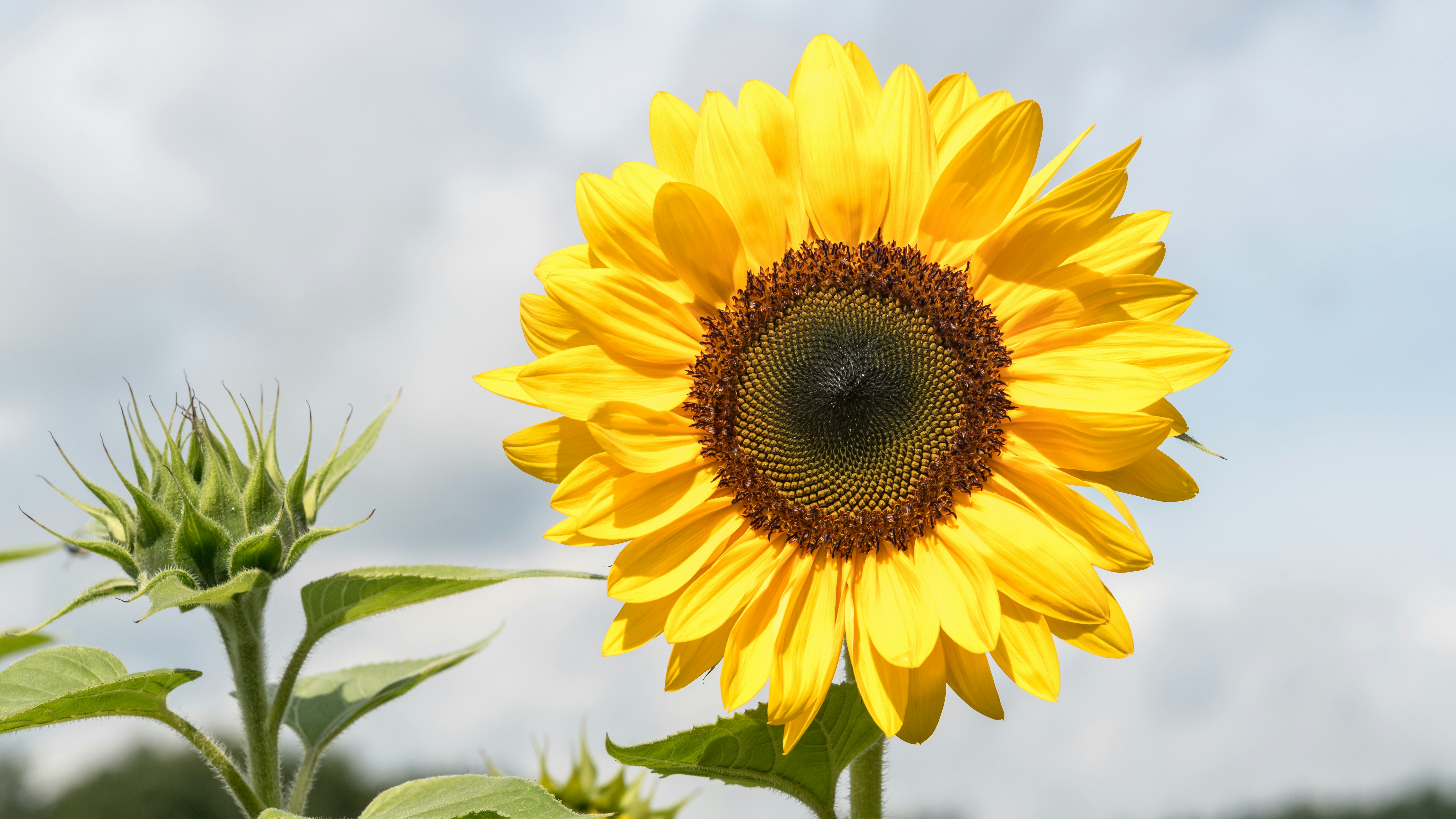 Photo by hamburgmeinefreundin