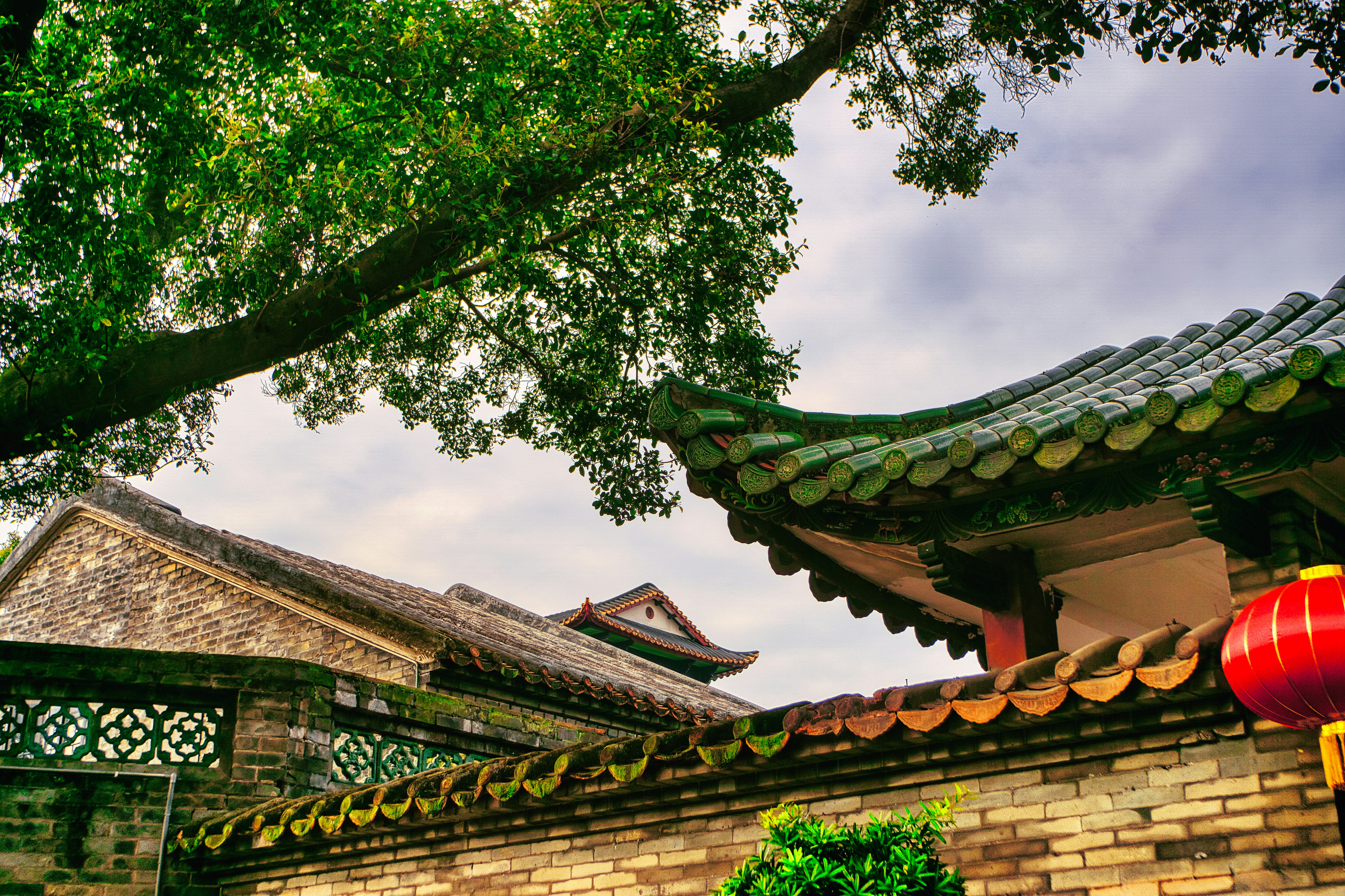 Photo by thomaskinto