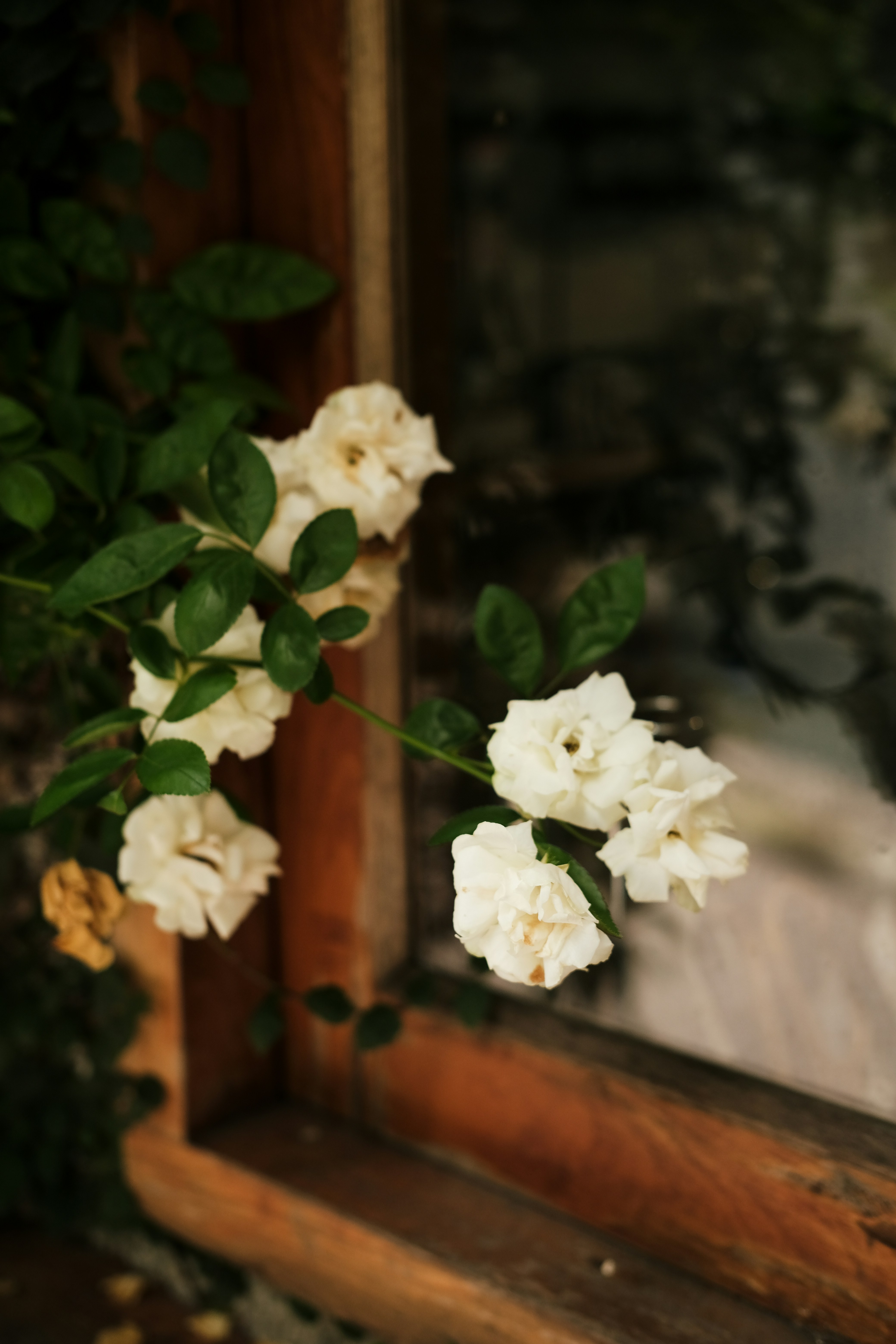 Open the door for August