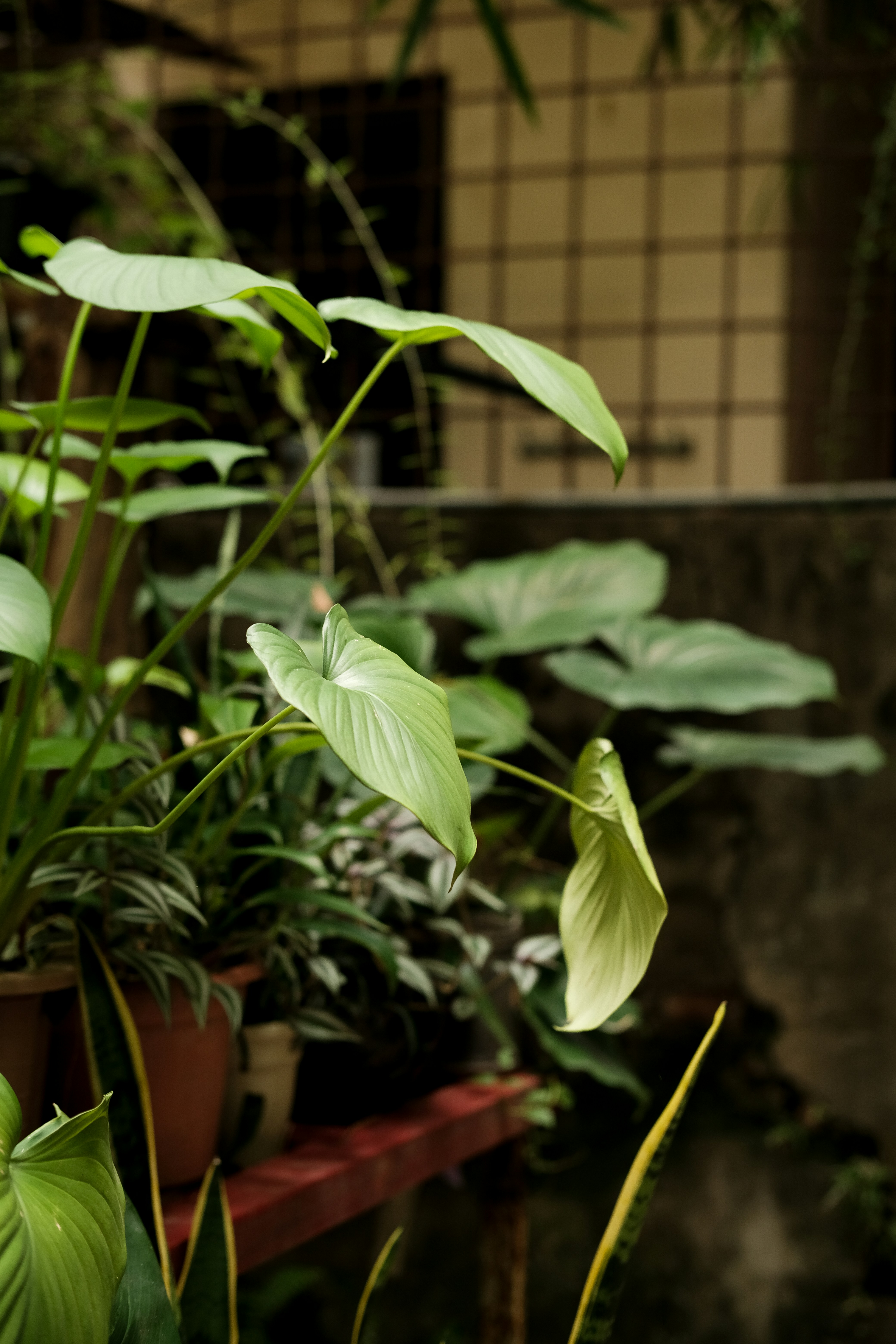 Photo by nganduong93