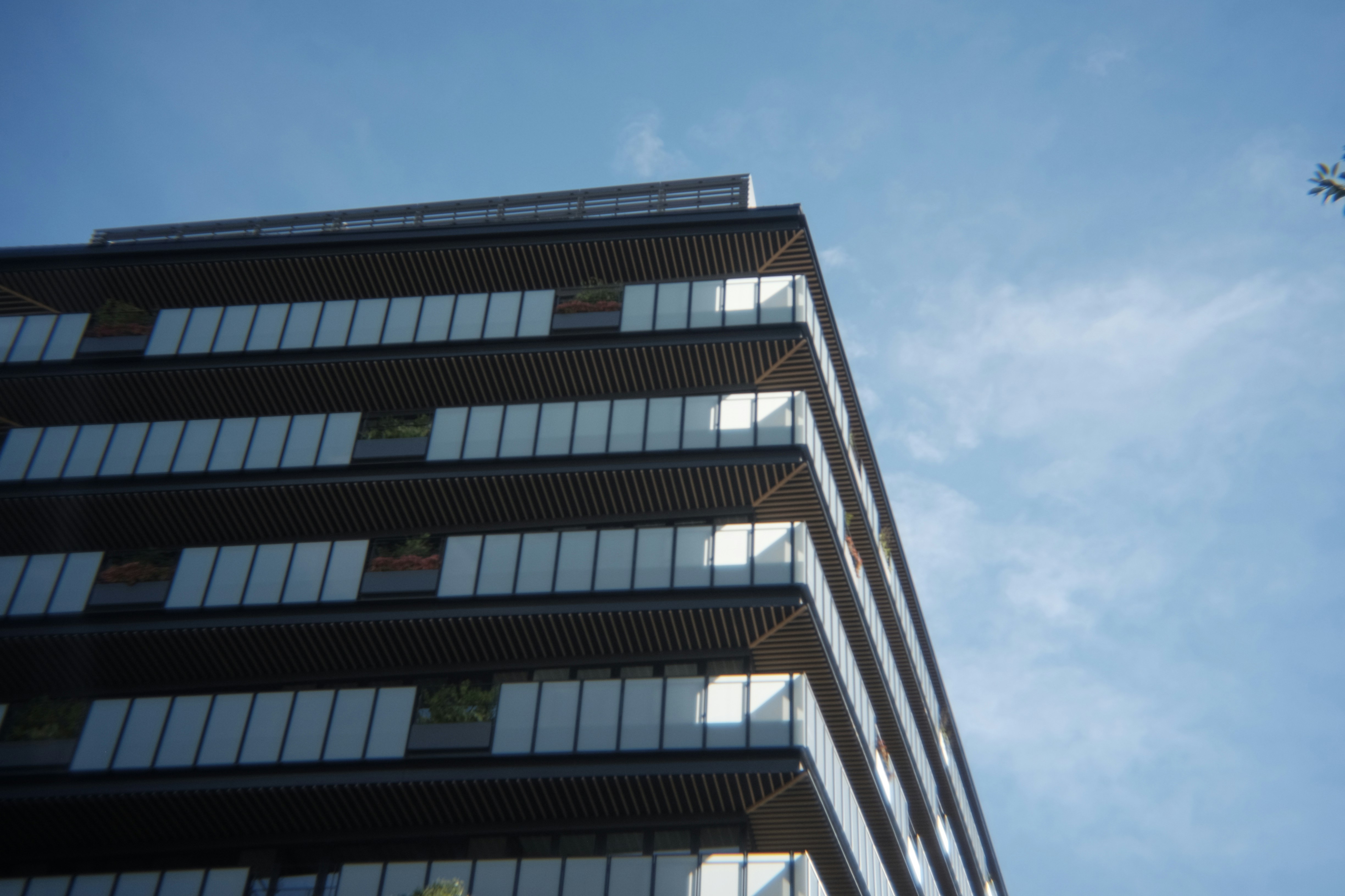 Photo by oostarteroo