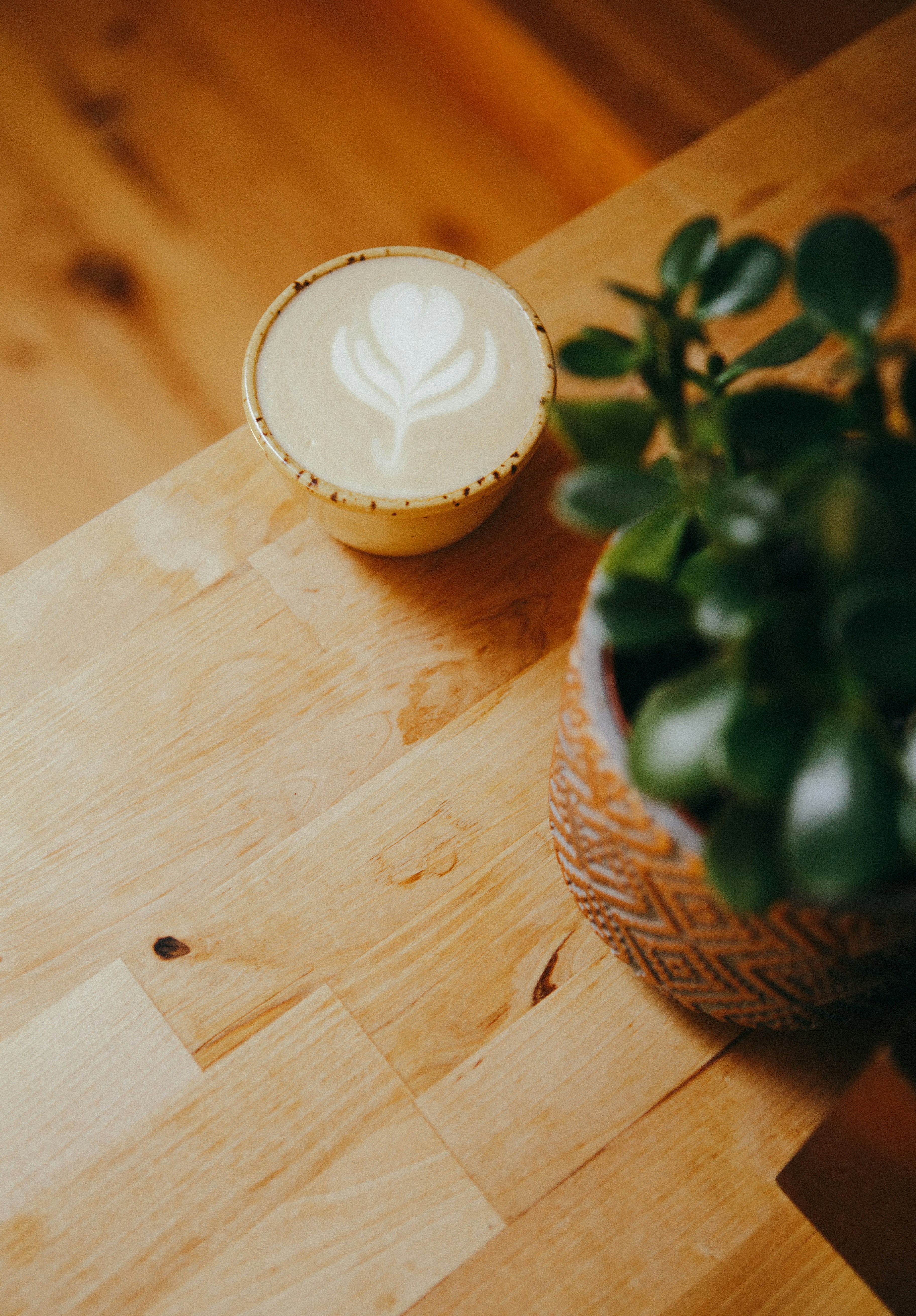 Photo by raymondpetrik