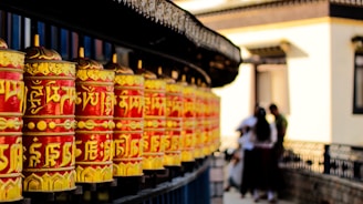 A row of red and yellow fire extinguishers in front of a building