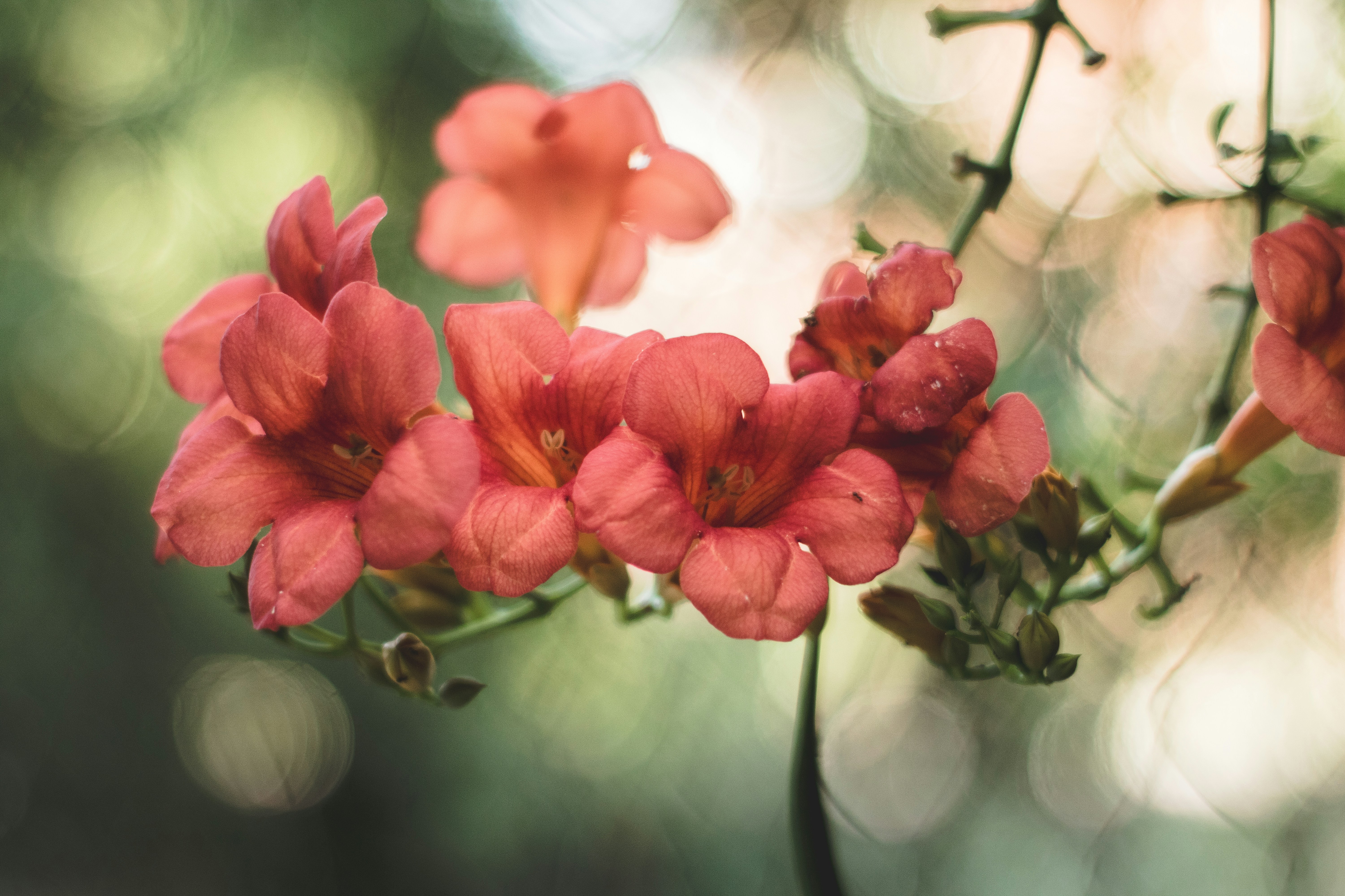 Photo by ragnarbeaverson