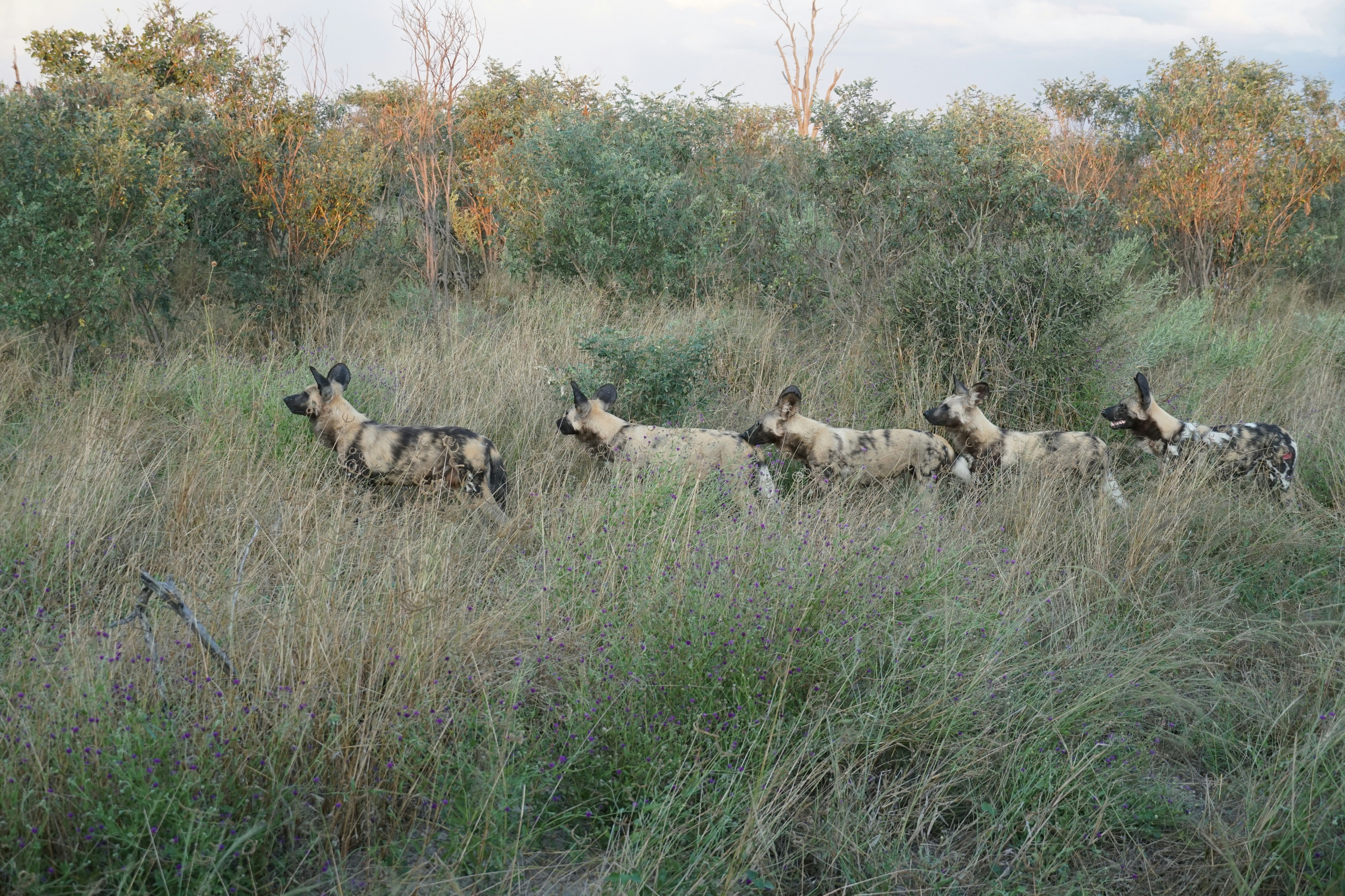 Photo by qld_traveller