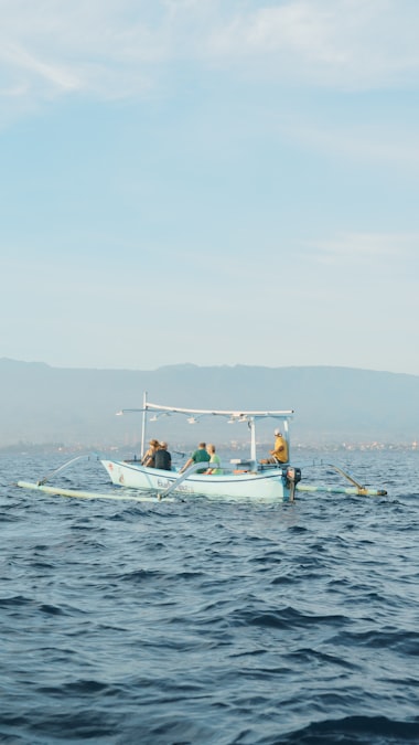 Dolphin Watching in Lovina: What to Expect